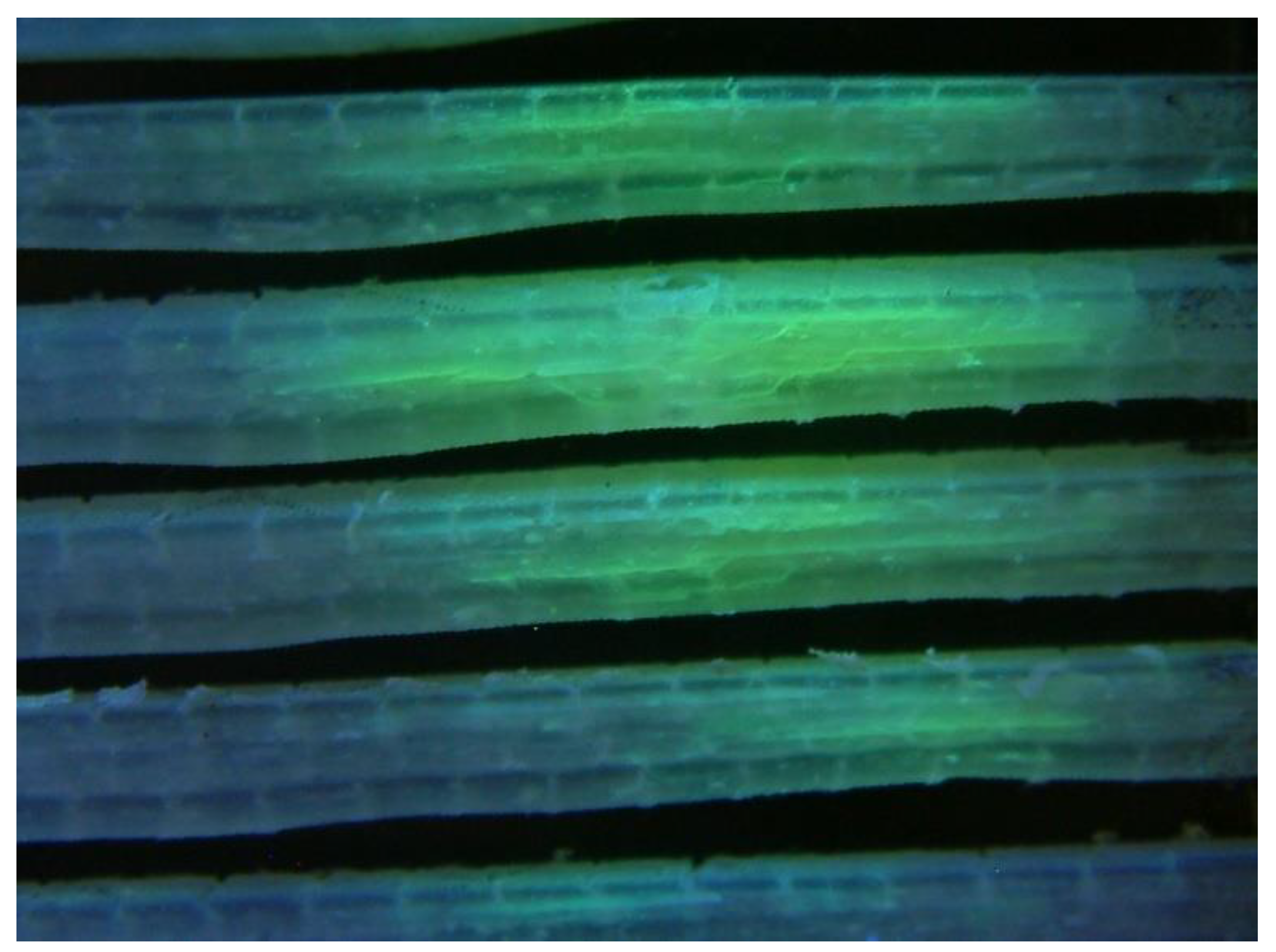 Applsci 10 06557 g013