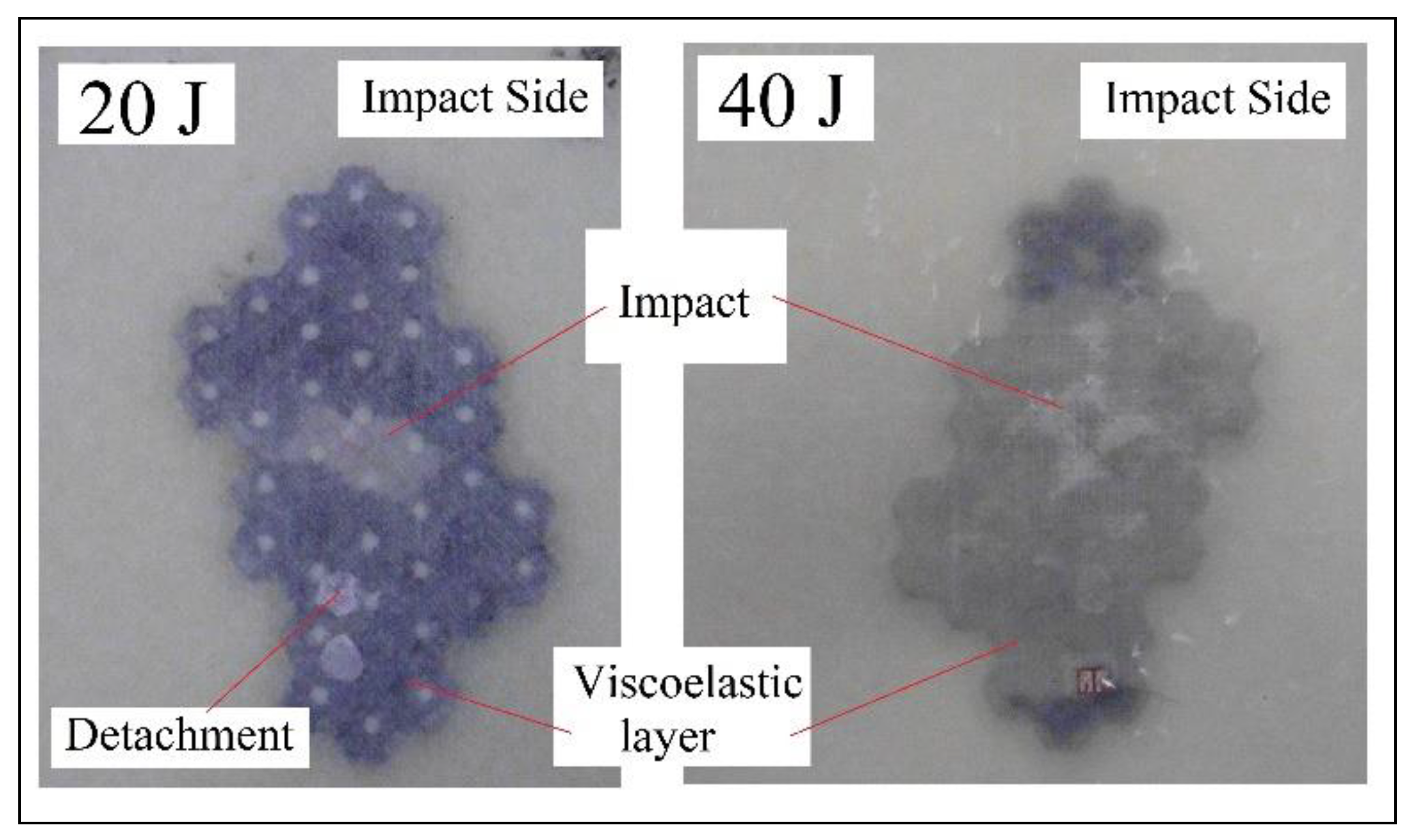 Applsci 10 06557 g019