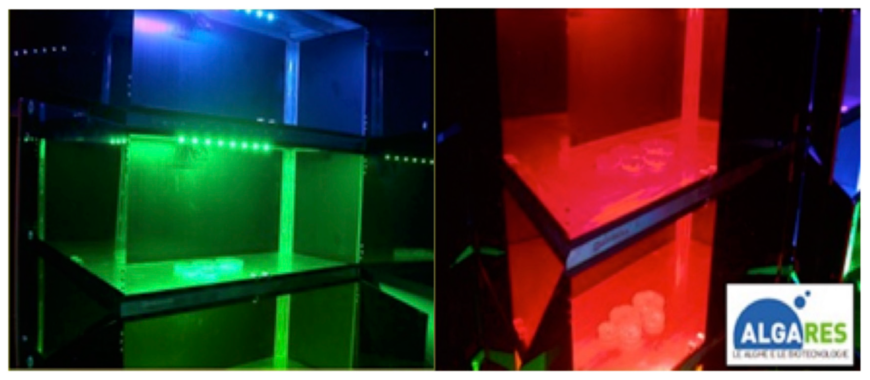 Applsci 10 06568 g004 Applsci 10 06568 g004