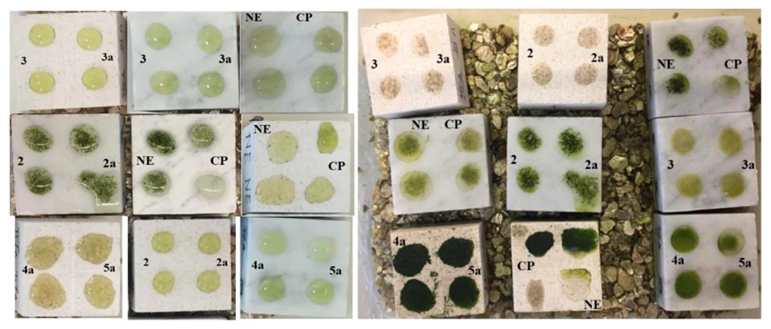 Applsci 10 06568 g010 Applsci 10 06568 g010