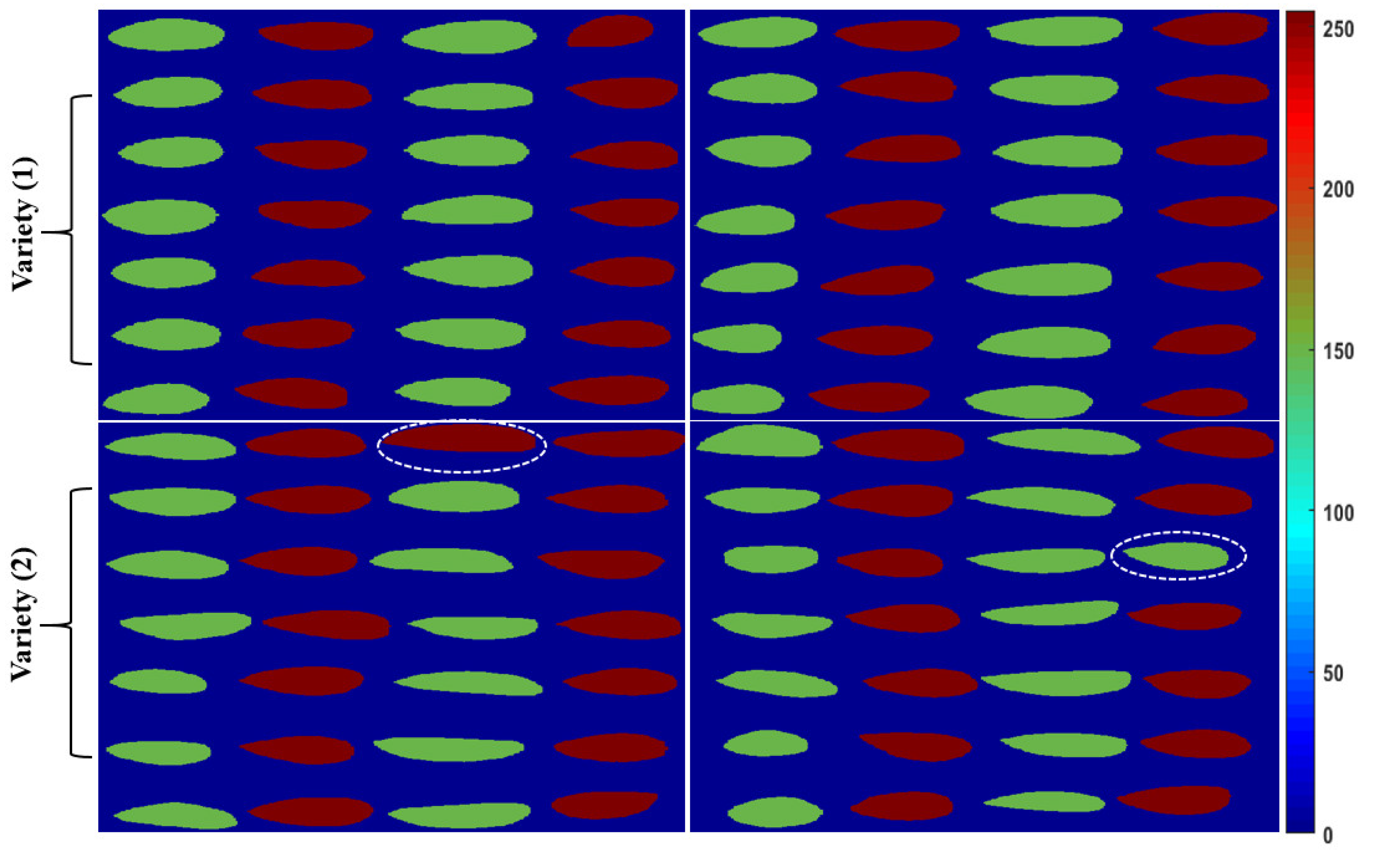 Applsci 10 06569 g007