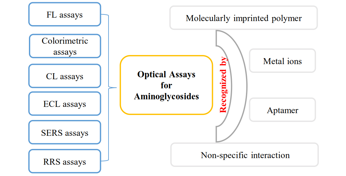 Applied Sciences Free FullText Recent Advances in Optical Detection of Aminoglycosides