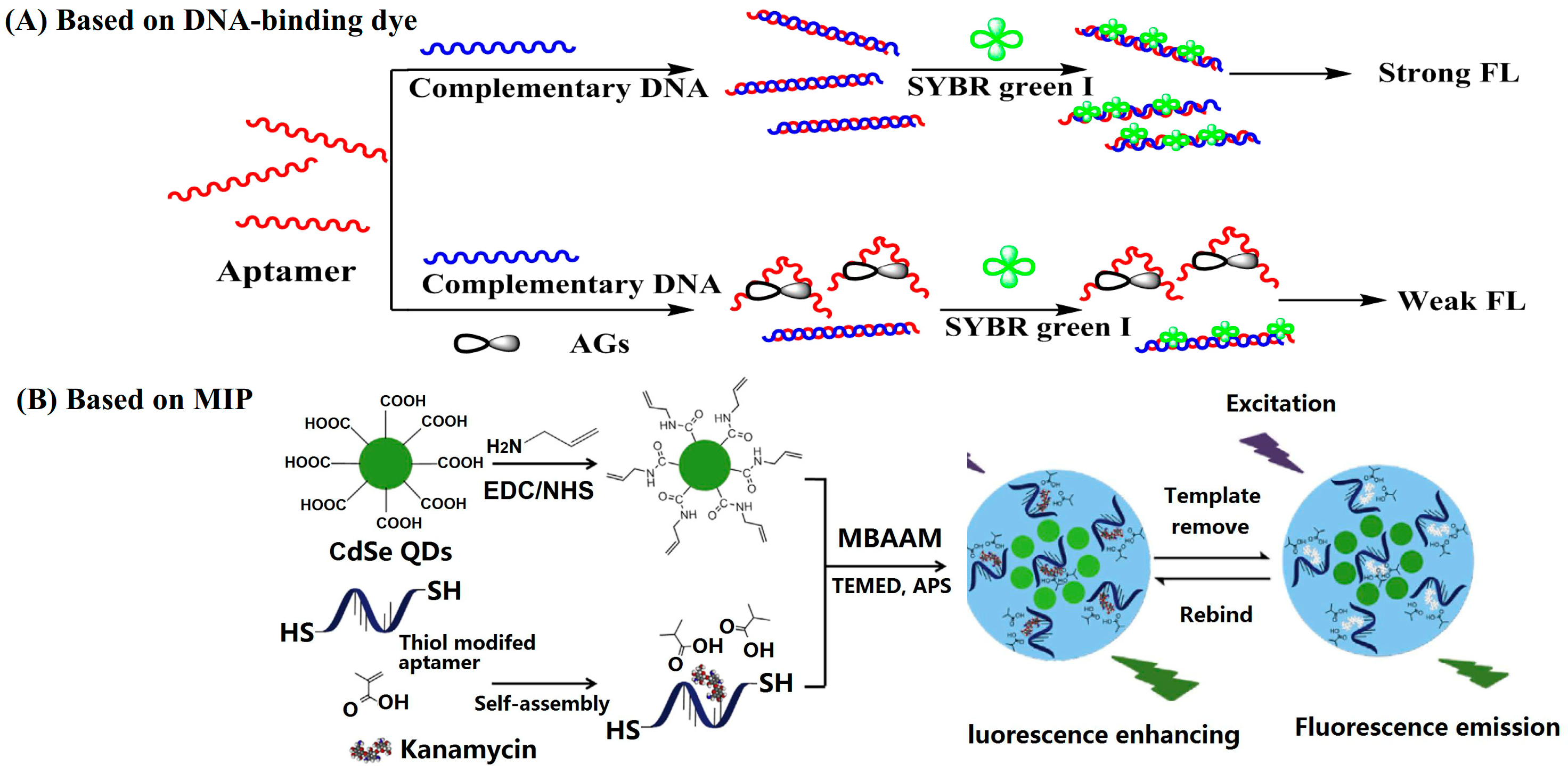 Applsci 10 06579 g003