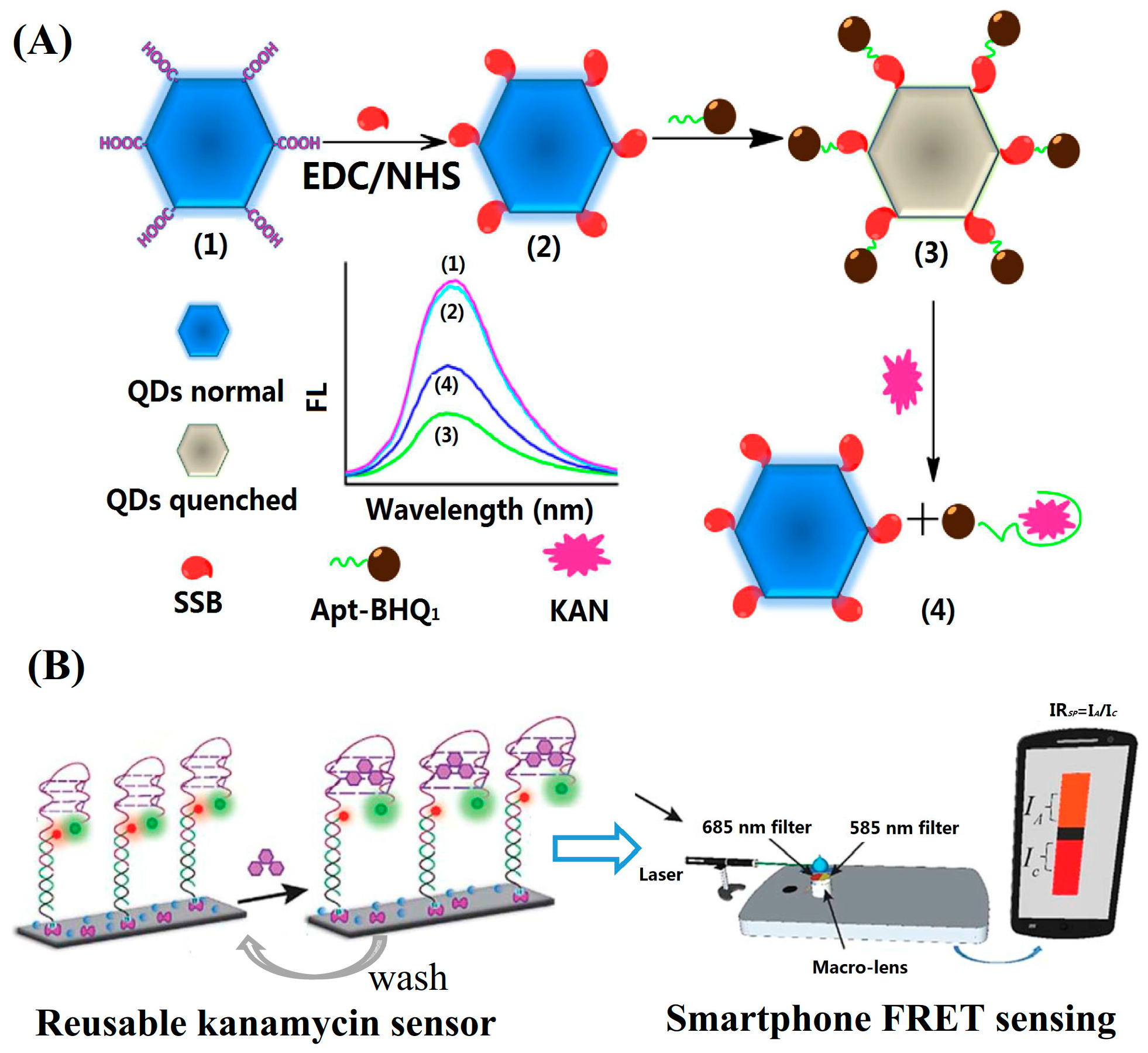 Applsci 10 06579 g004