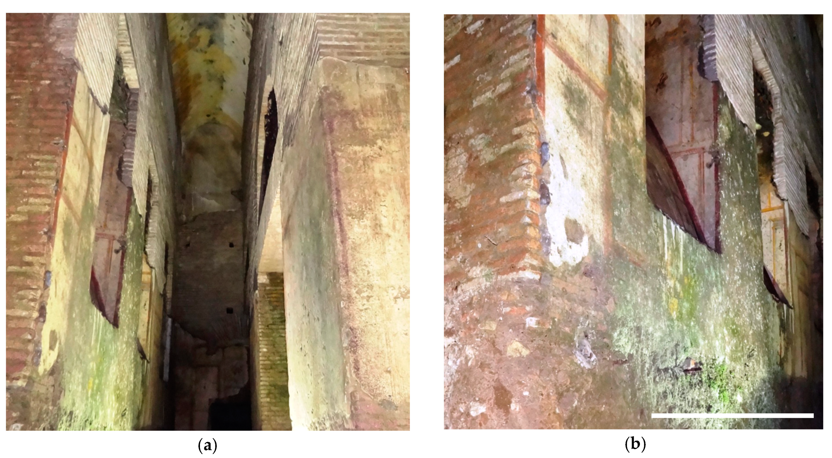 Applsci 10 06584 g002 Applsci 10 06584 g002