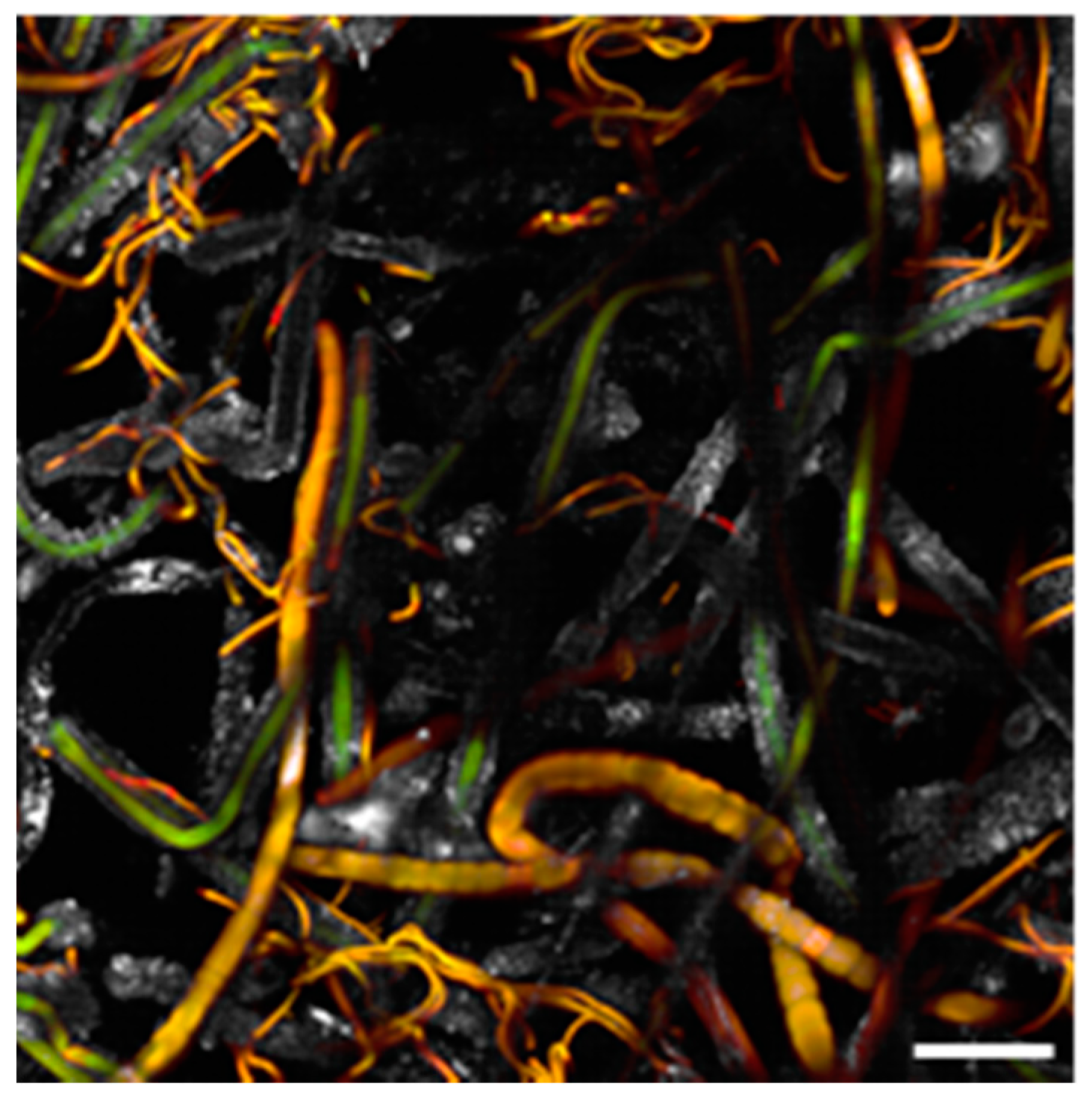 Applsci 10 06584 g003 Applsci 10 06584 g003