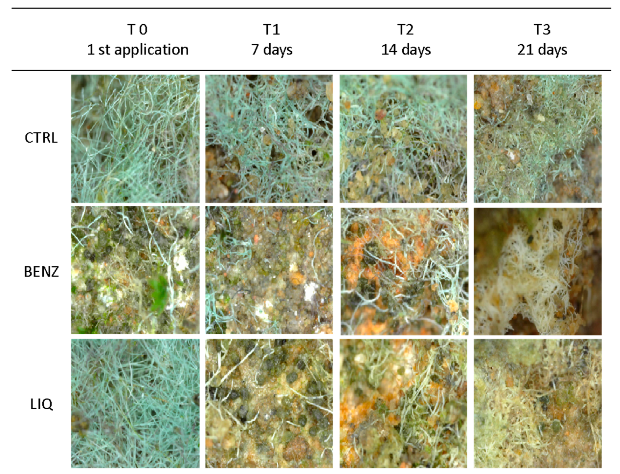 Applsci 10 06584 g007 Applsci 10 06584 g007