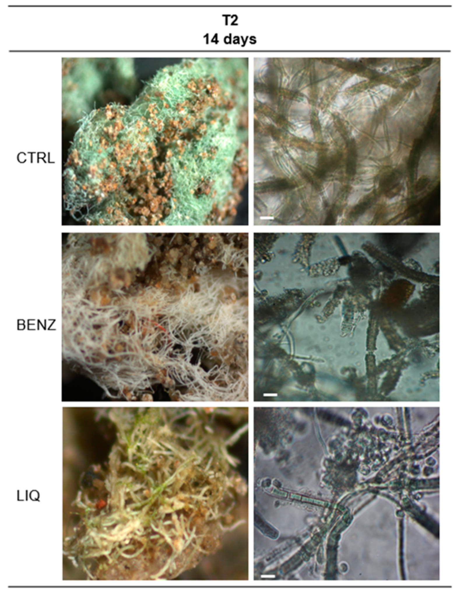 Applsci 10 06584 g008 Applsci 10 06584 g008