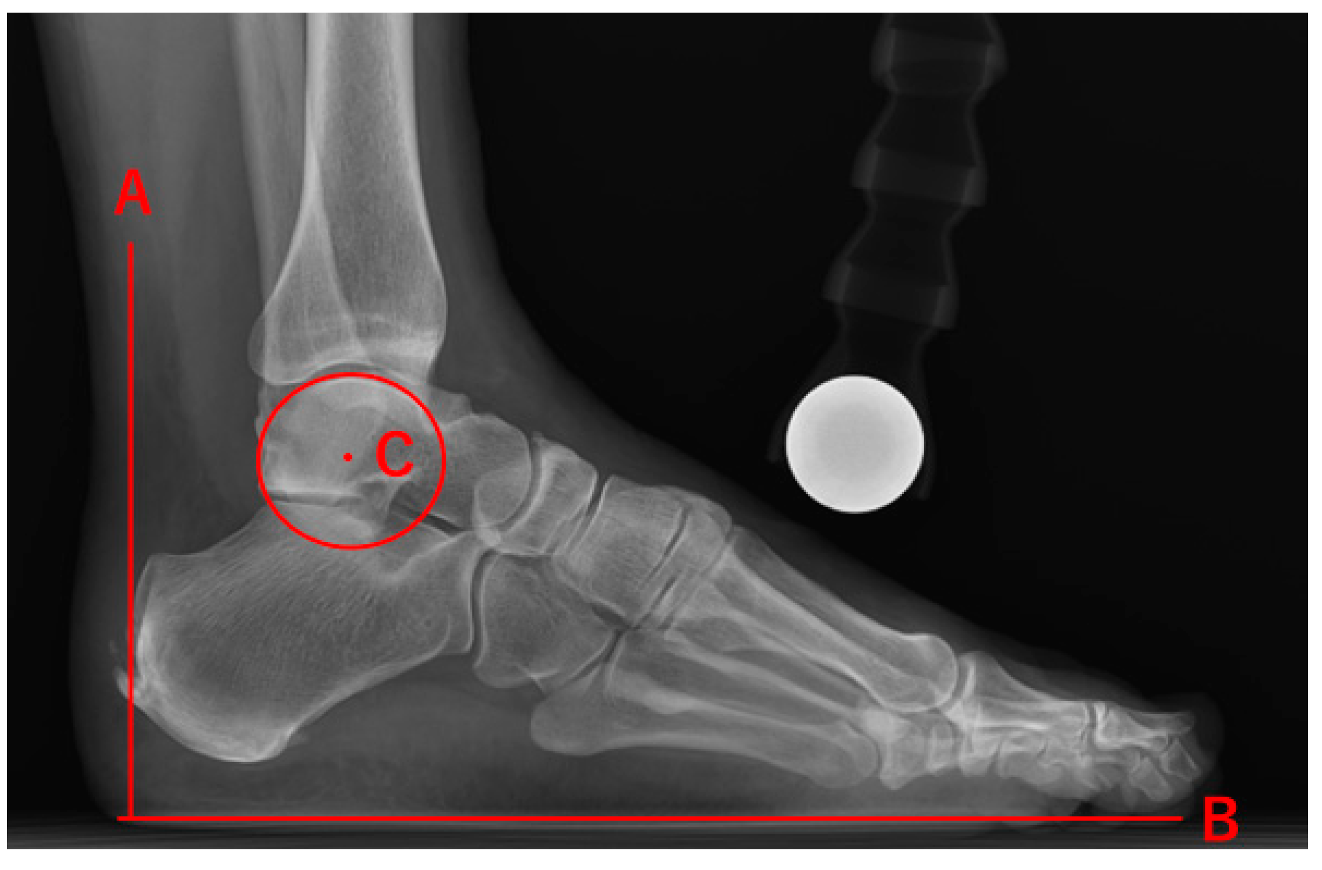 Applsci 10 06631 g003a