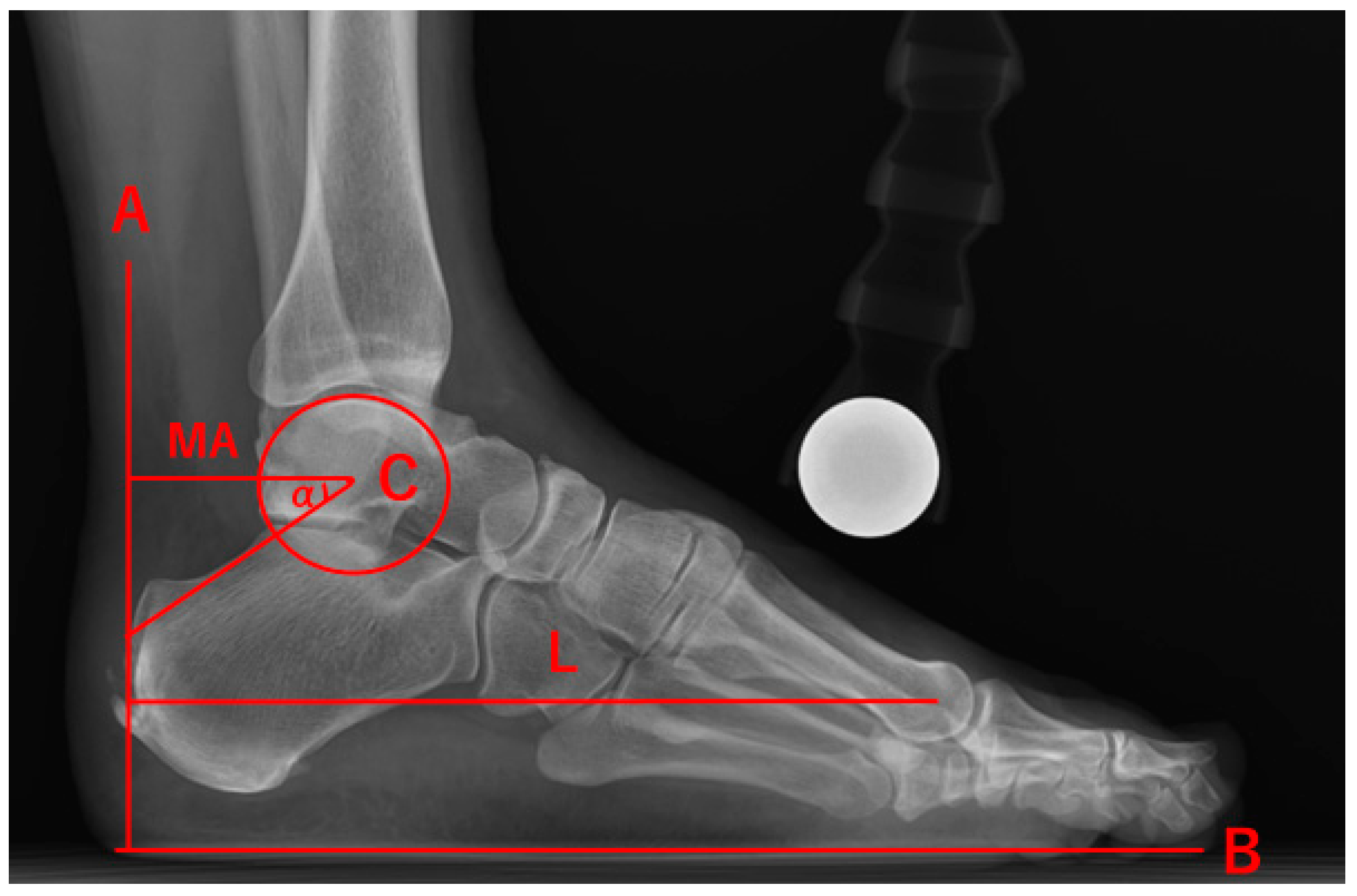 Applsci 10 06631 g003b