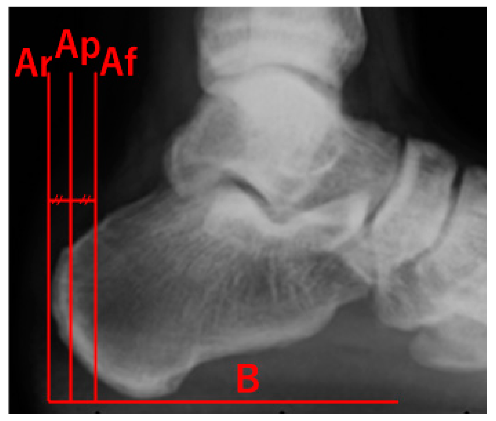 Applsci 10 06631 g004