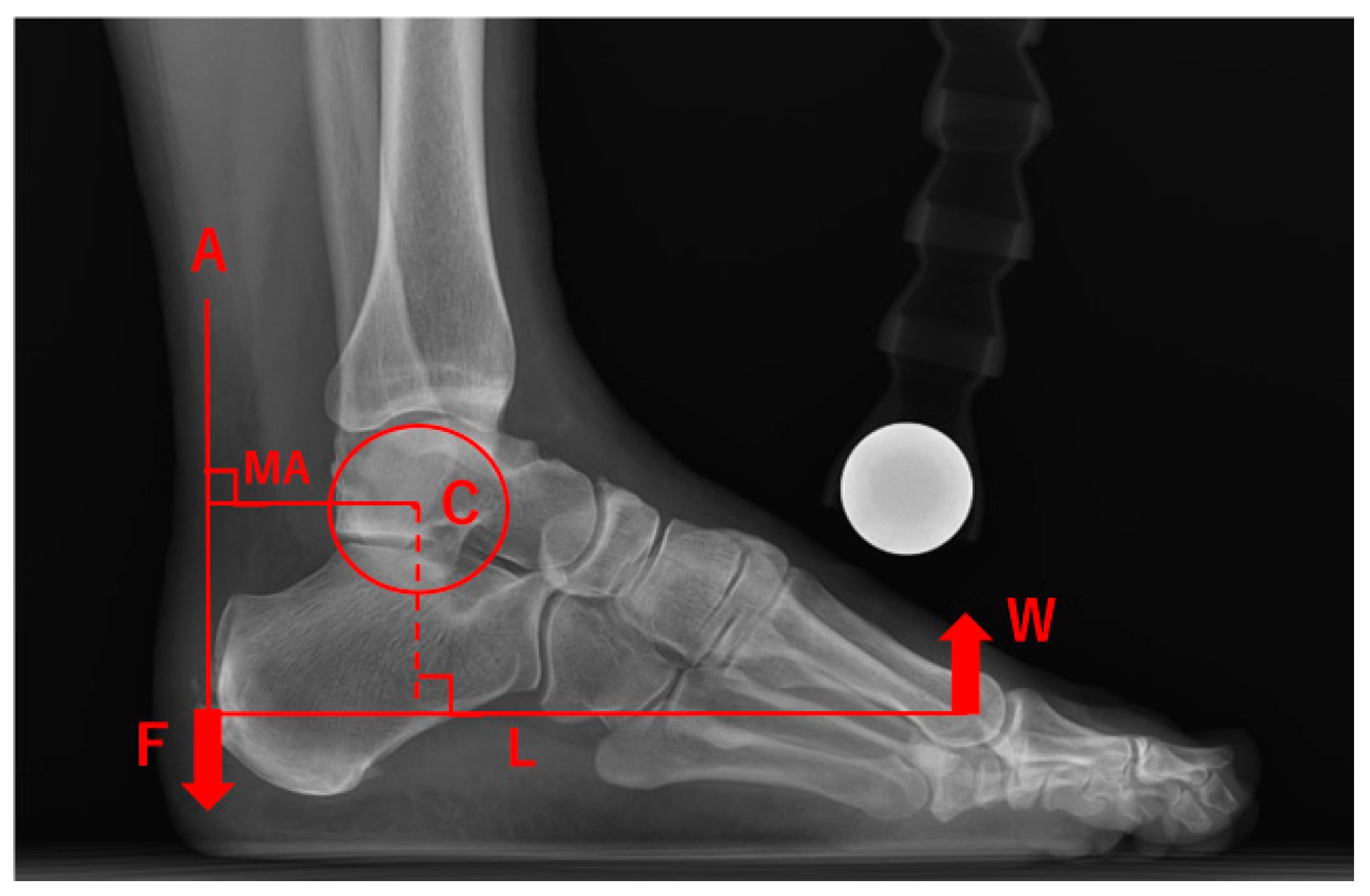 Applsci 10 06631 g005