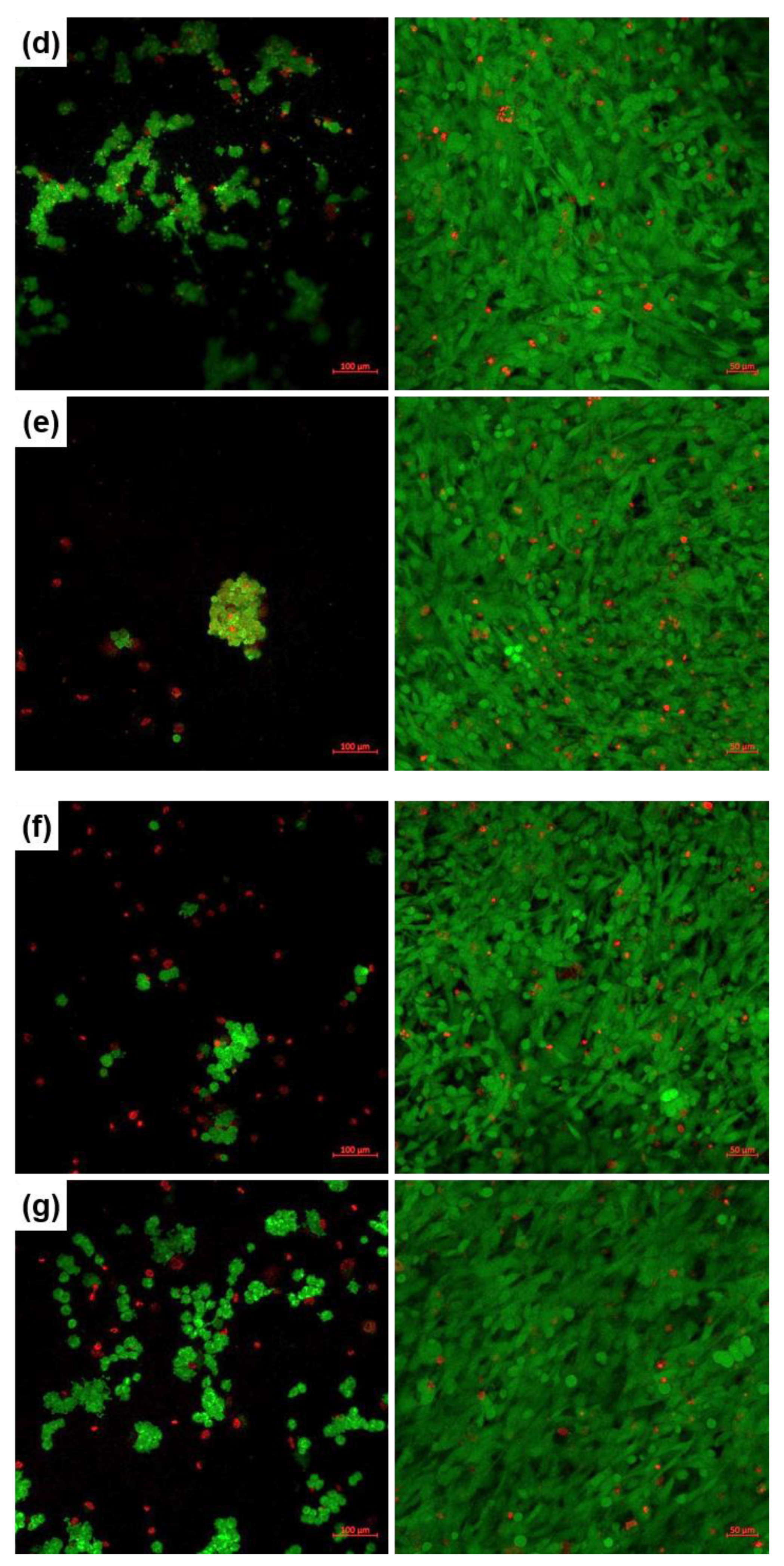 Applsci 10 06647 g006b Applsci 10 06647 g006b