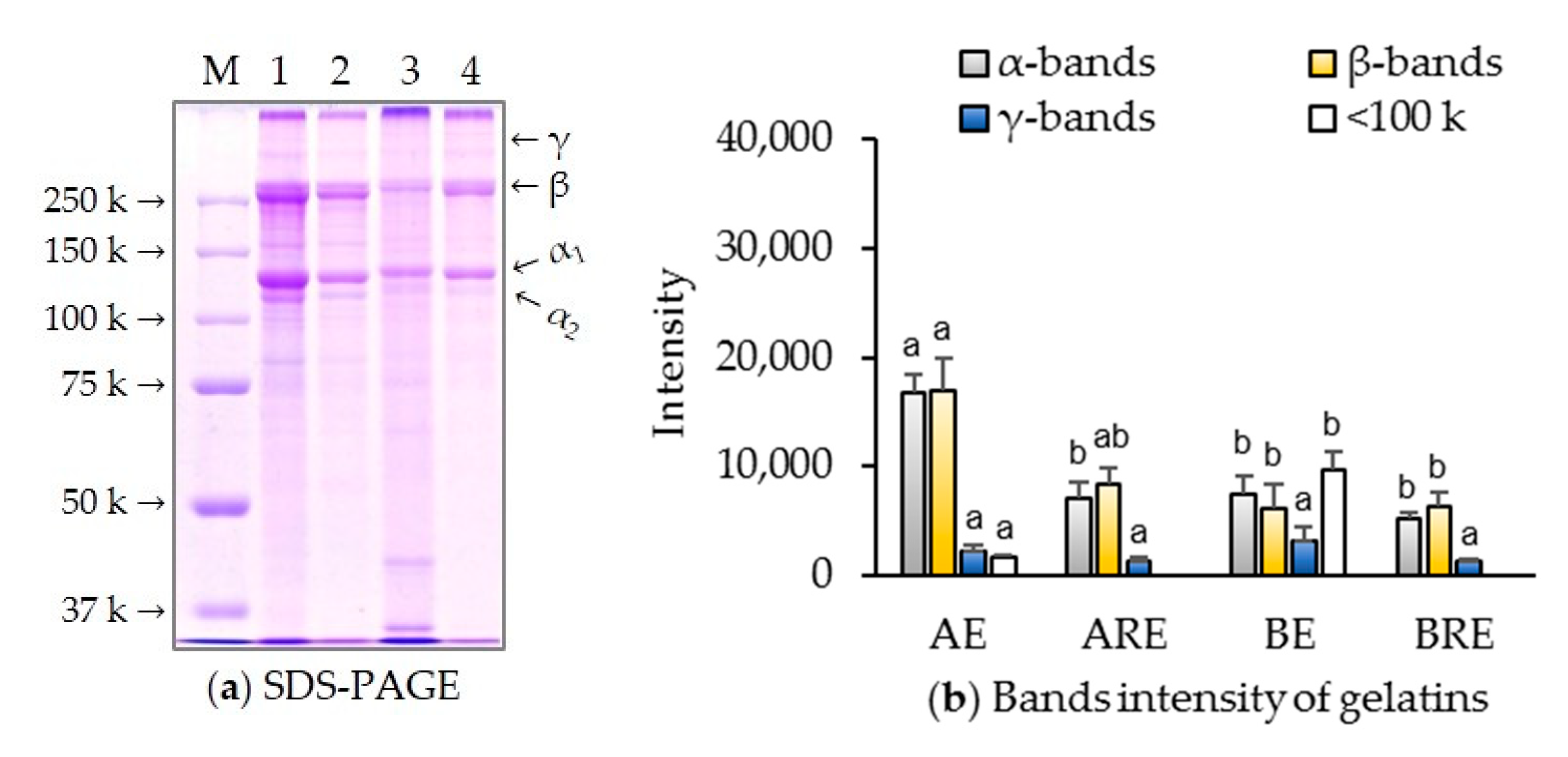 Applsci 10 06660 g005