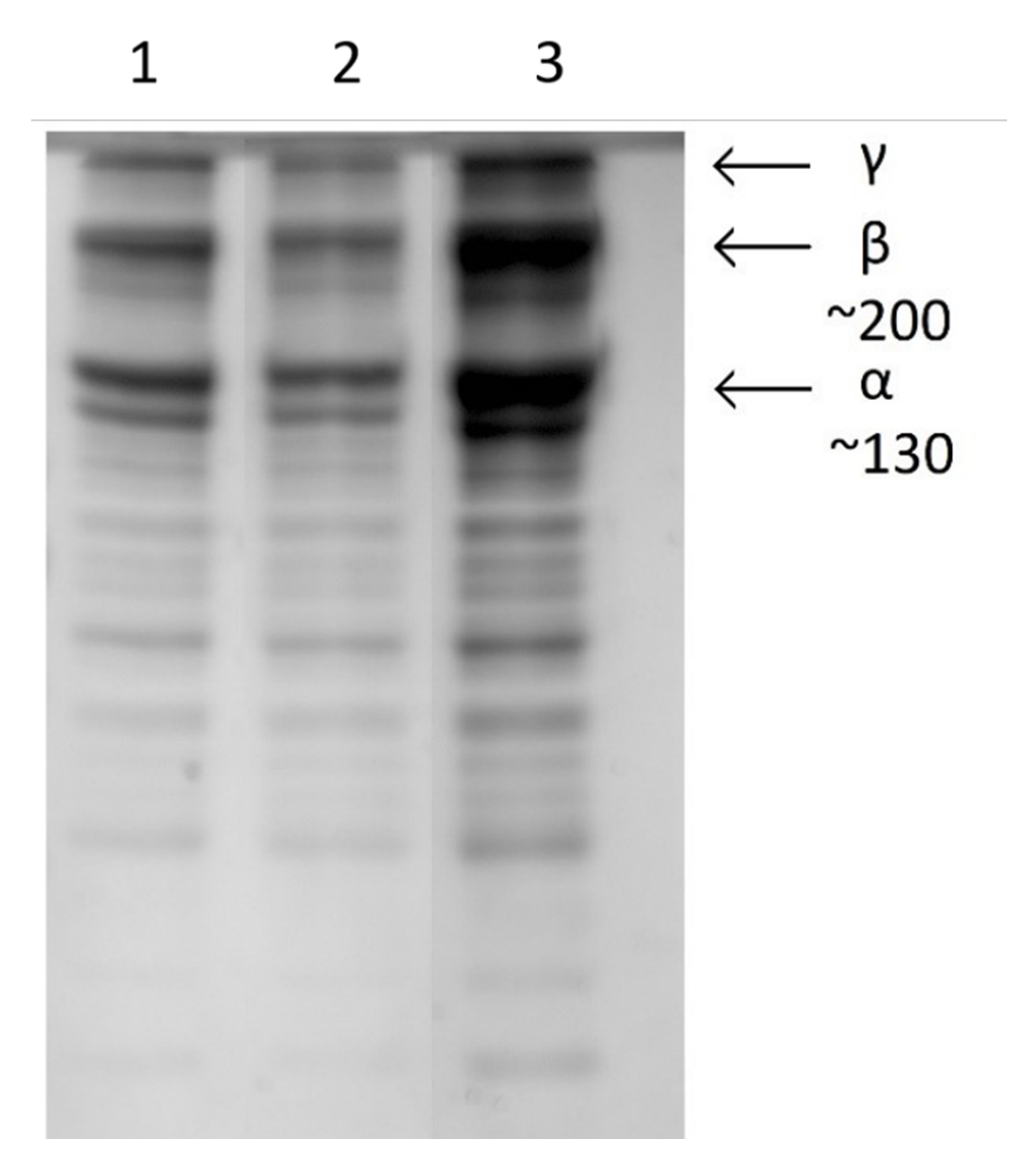 Applsci 10 06670 g008