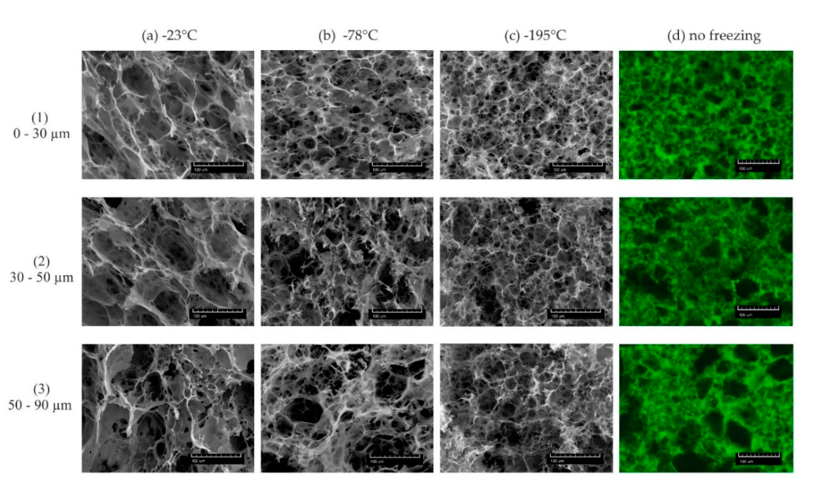 Applsci 10 06672 g001 Applsci 10 06672 g001