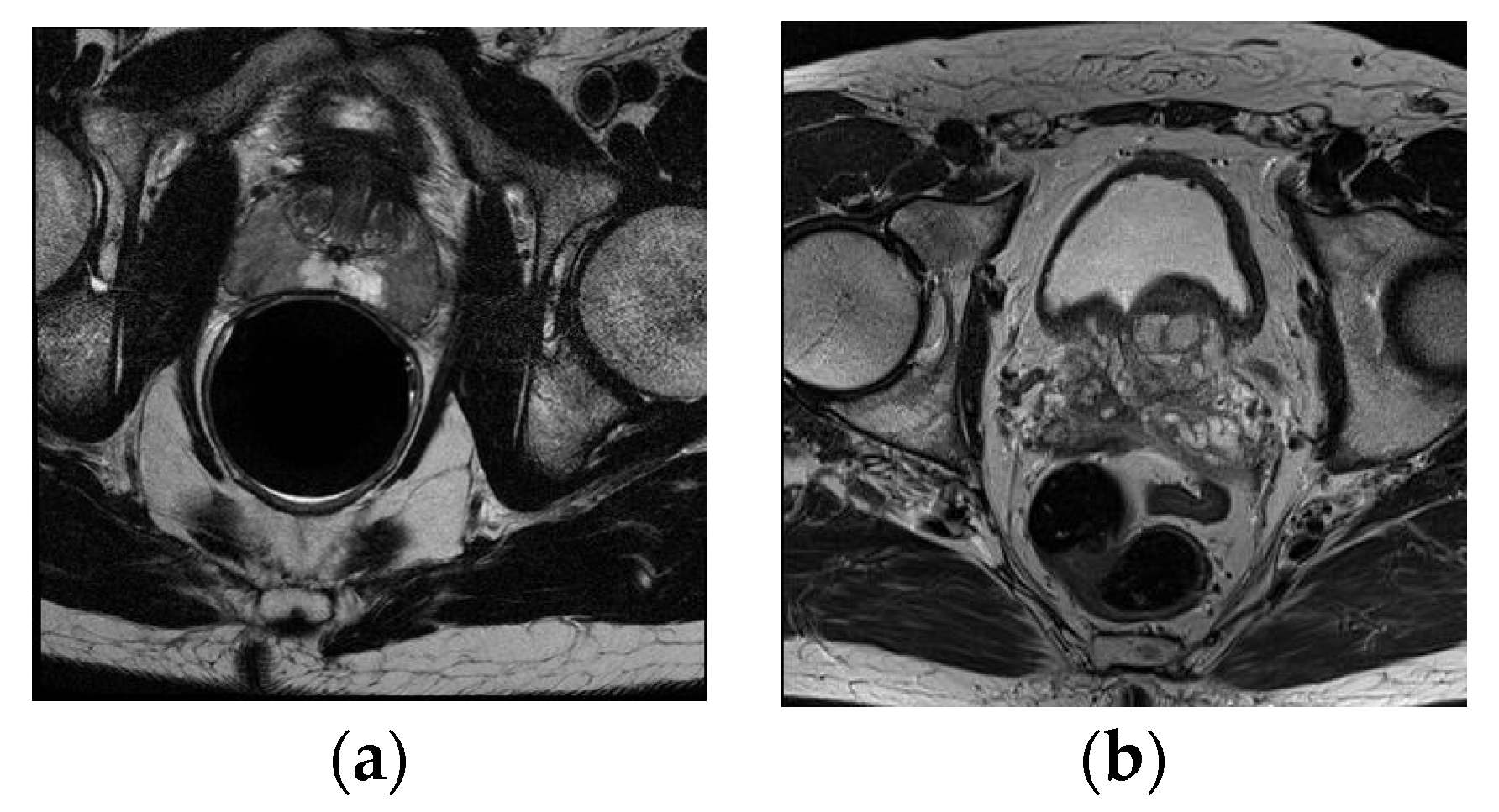 Applsci 10 06678 g002