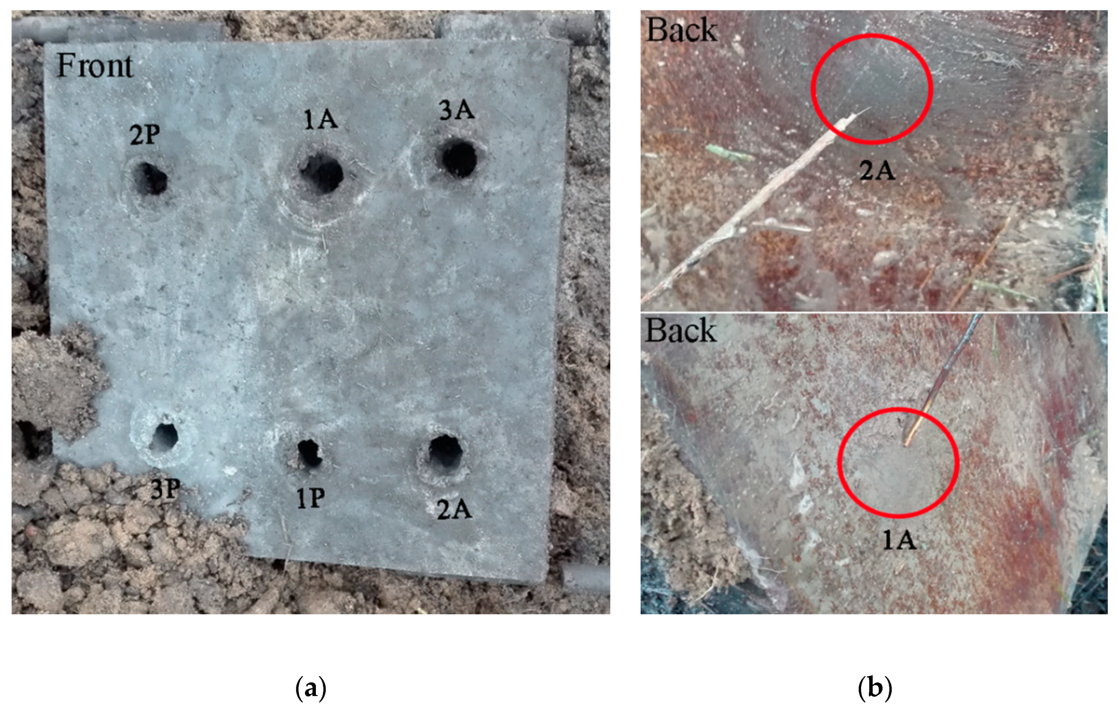 Applsci 10 06742 g006