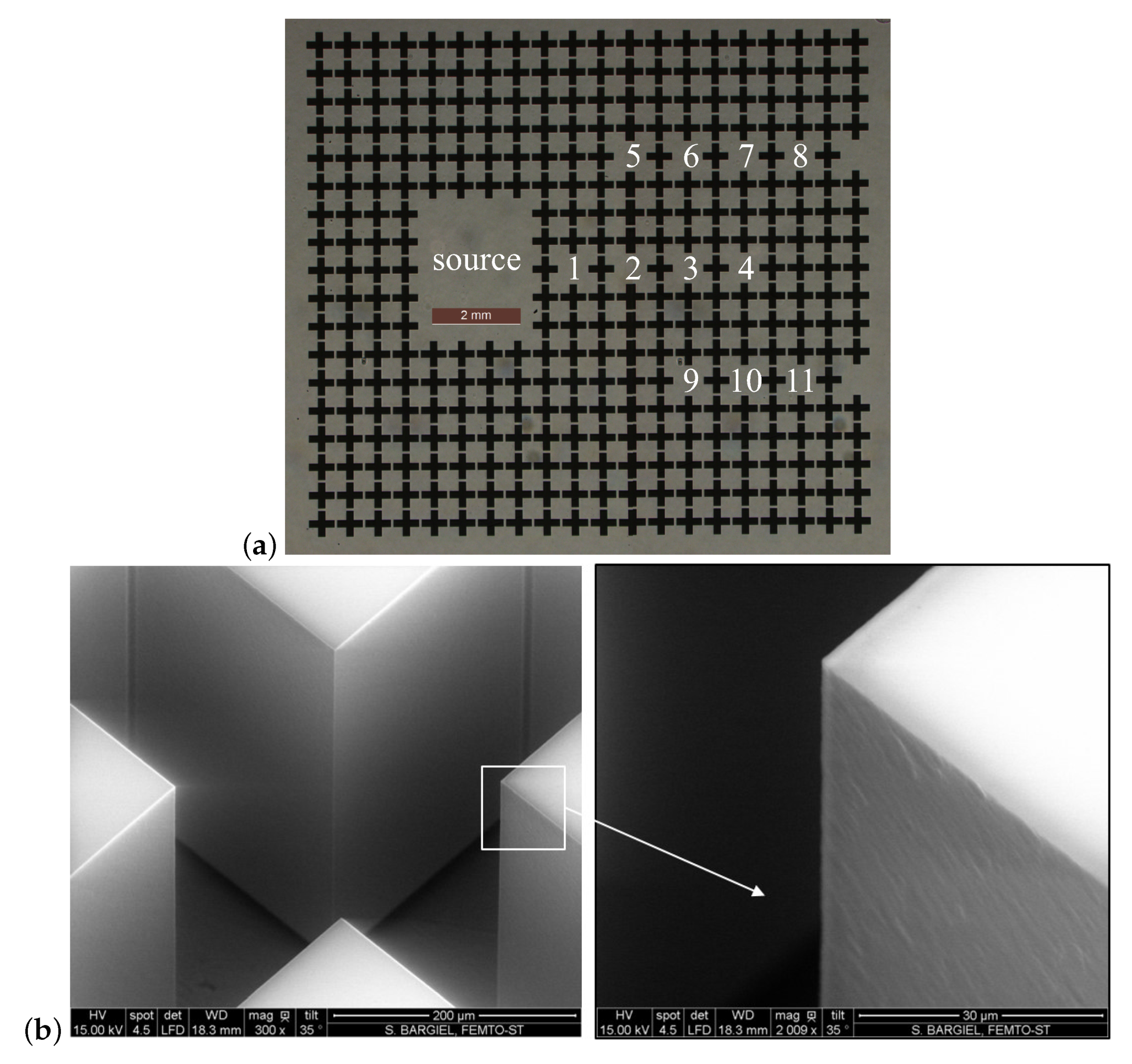 Applsci 10 06751 g001