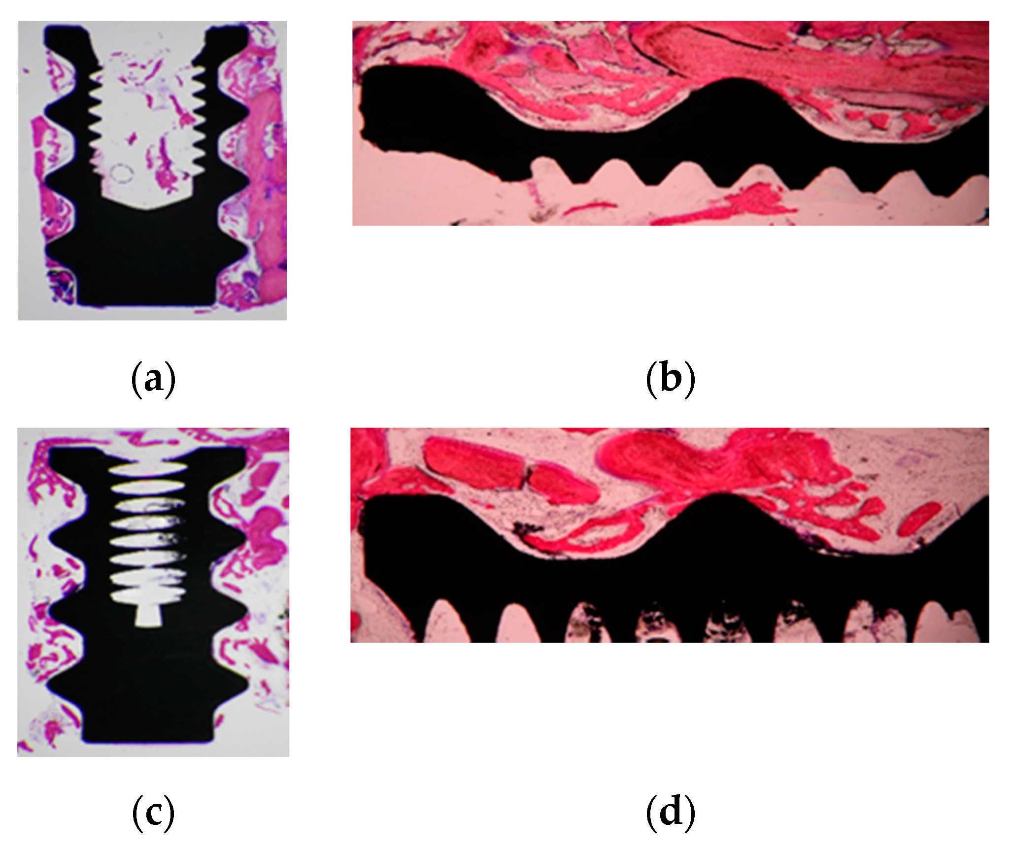 Applsci 10 06762 g005