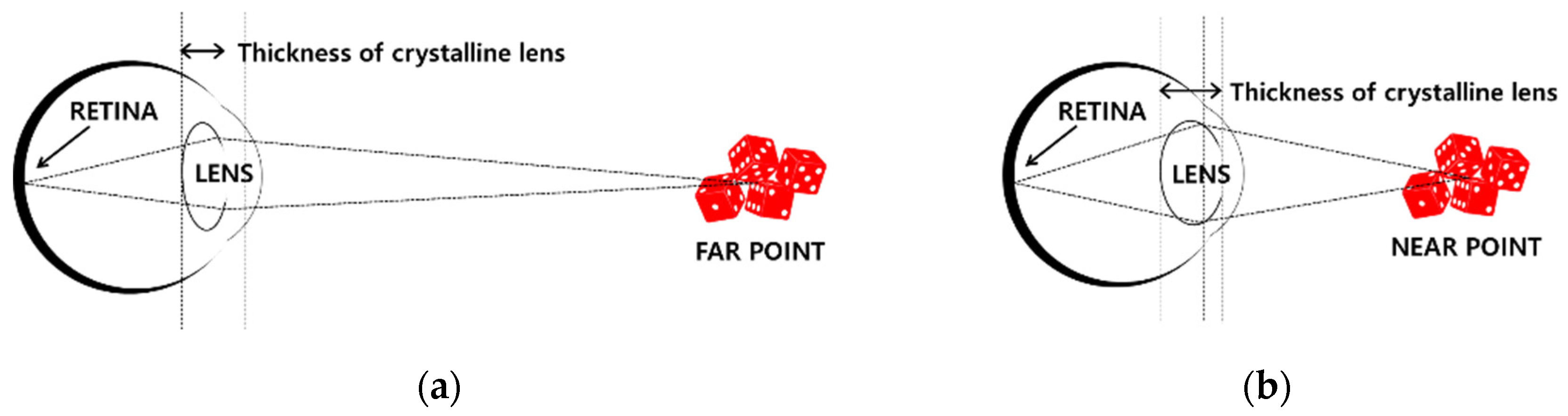 Applsci 10 06788 g002 Applsci 10 06788 g002