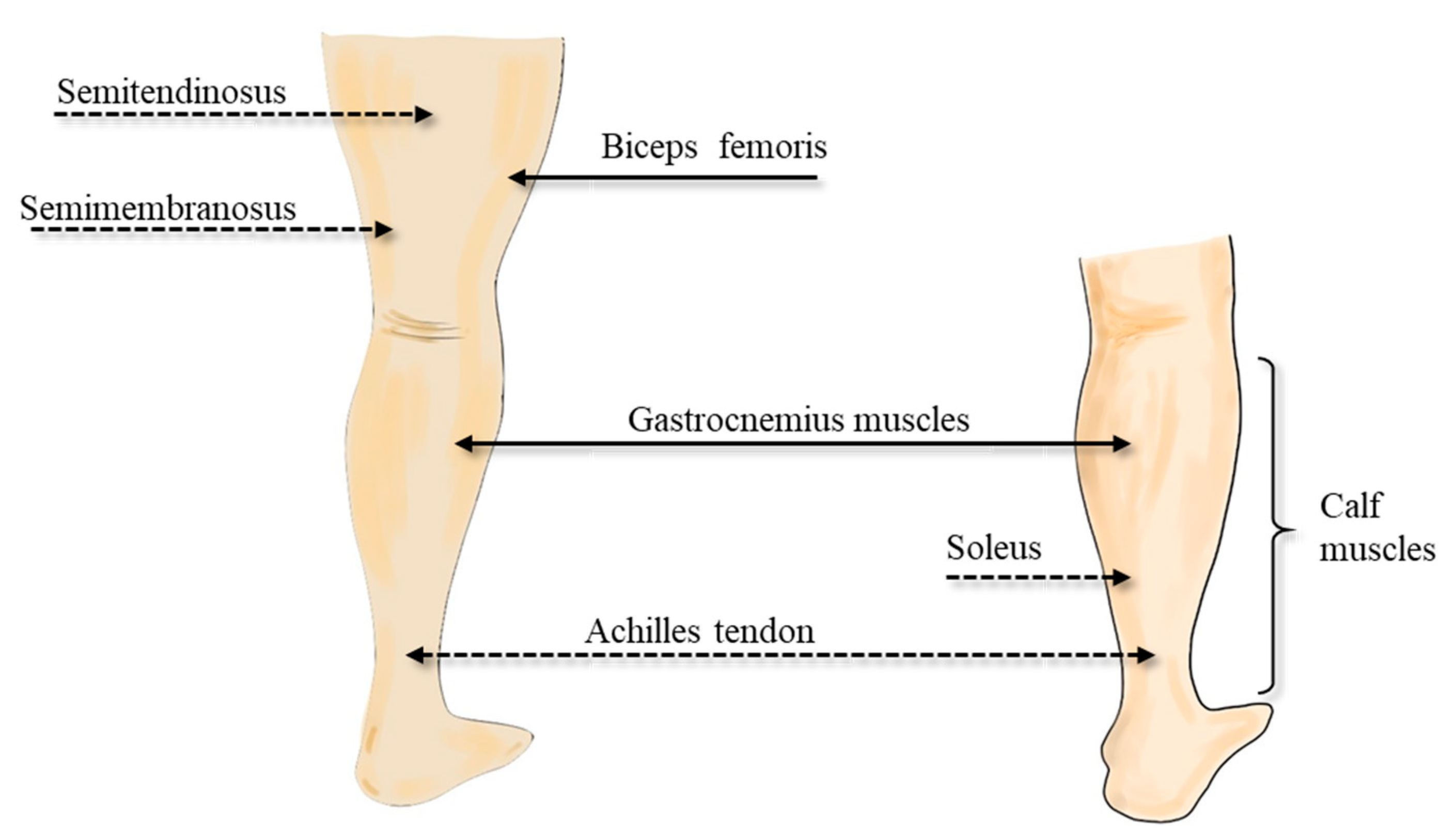 Applsci 10 06791 g003