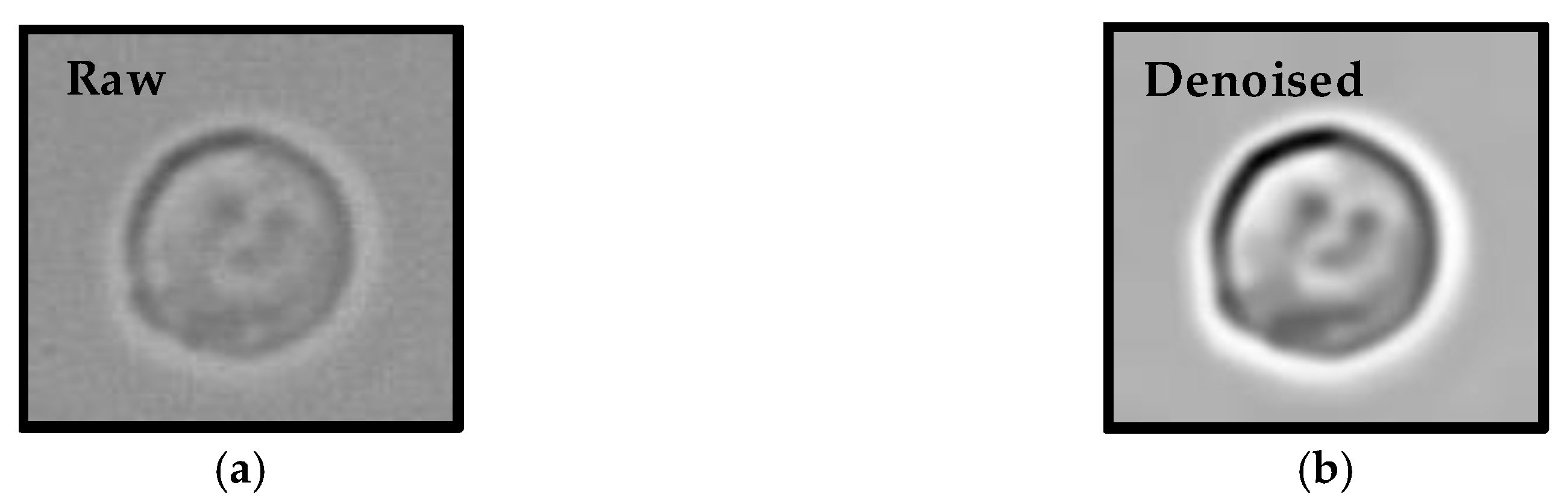 Applsci 10 06806 g005