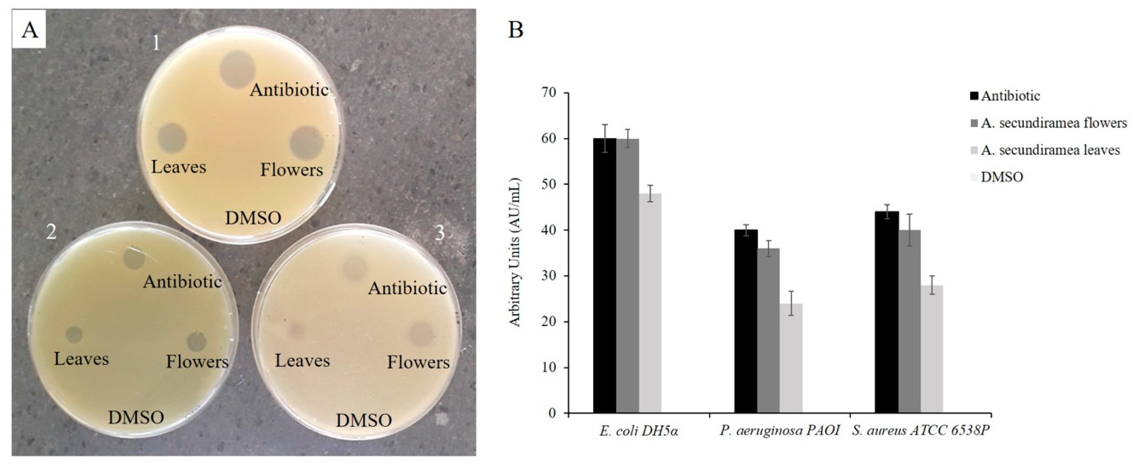 Applsci 10 06808 g004 Applsci 10 06808 g004