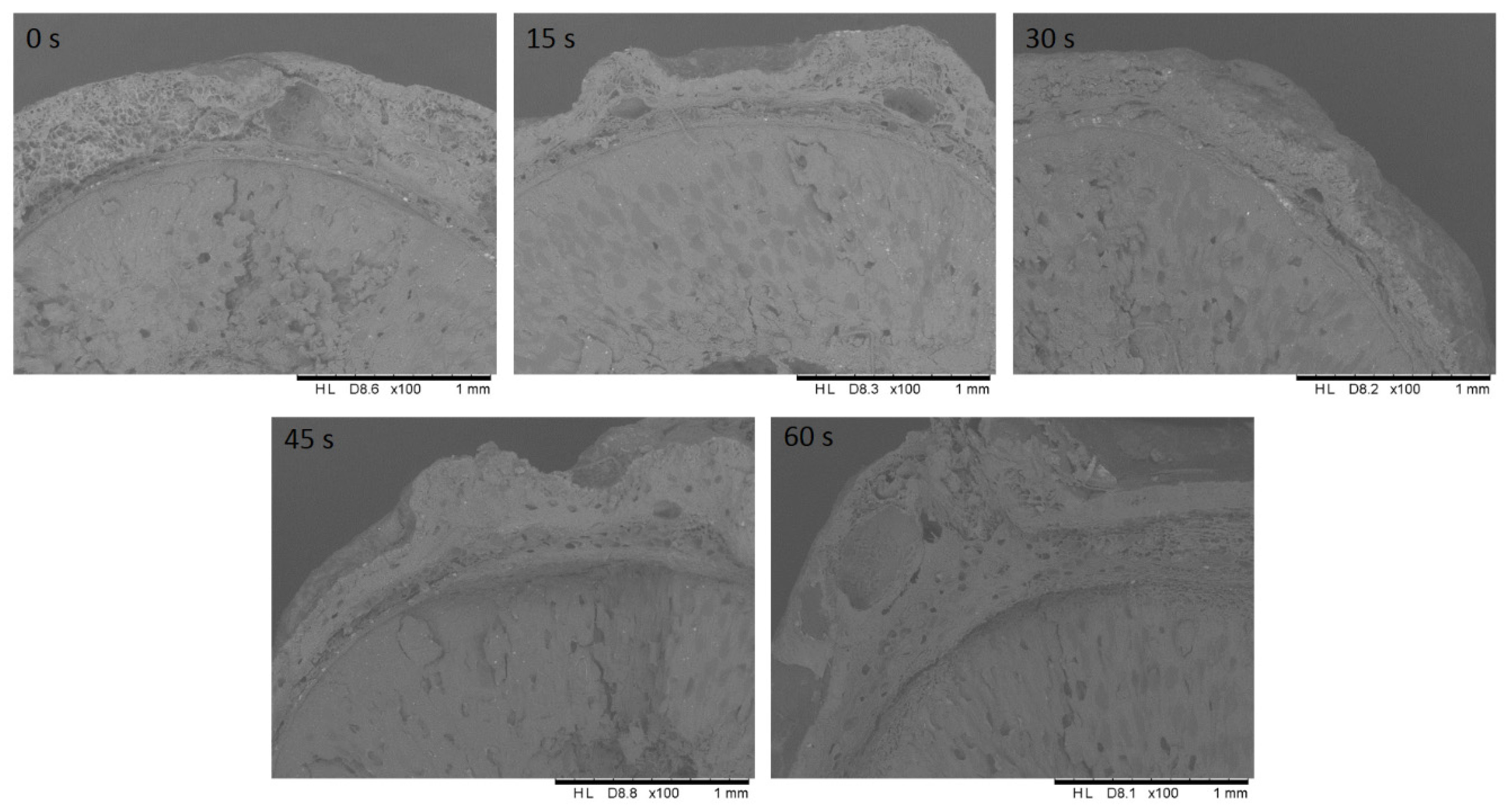 Applsci 10 06815 g008 Applsci 10 06815 g008