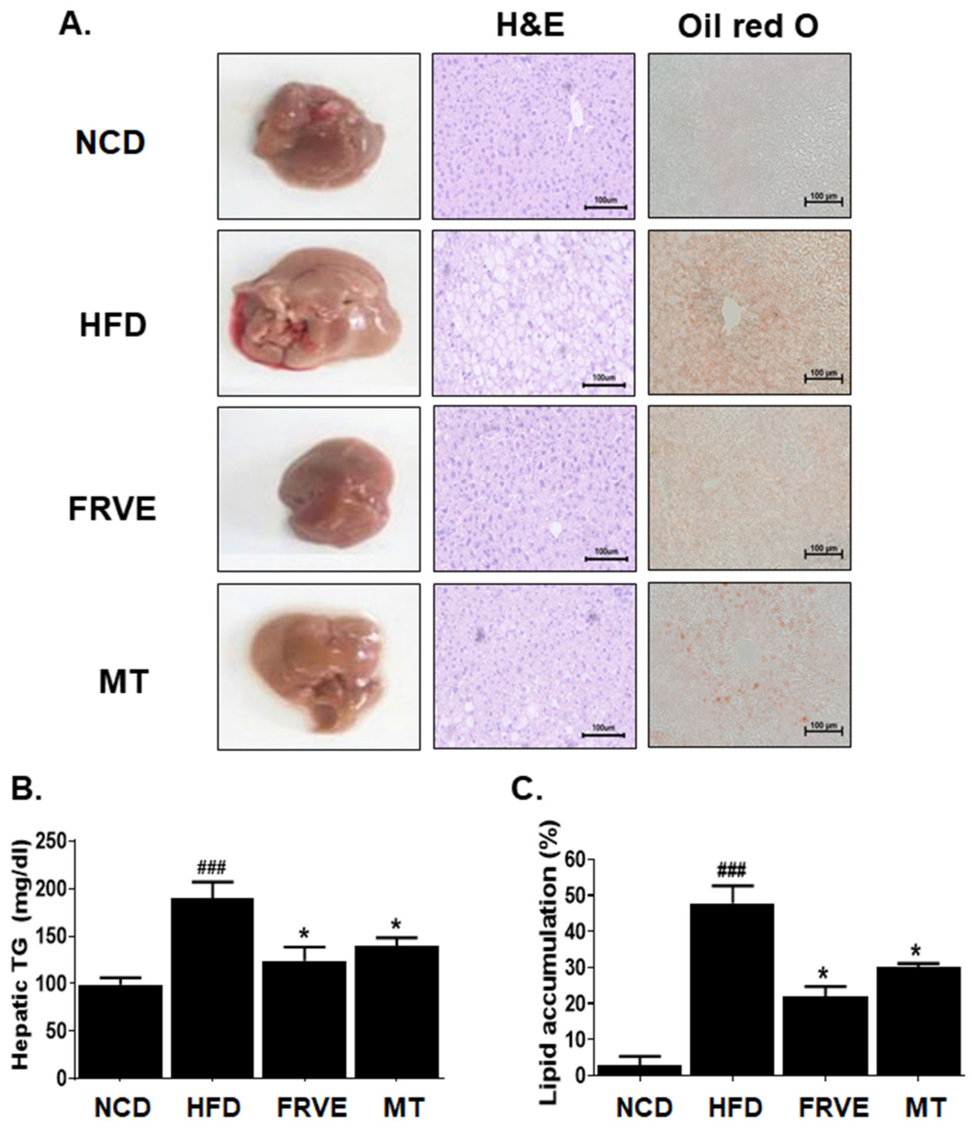 Applsci 10 06833 g004 Applsci 10 06833 g004