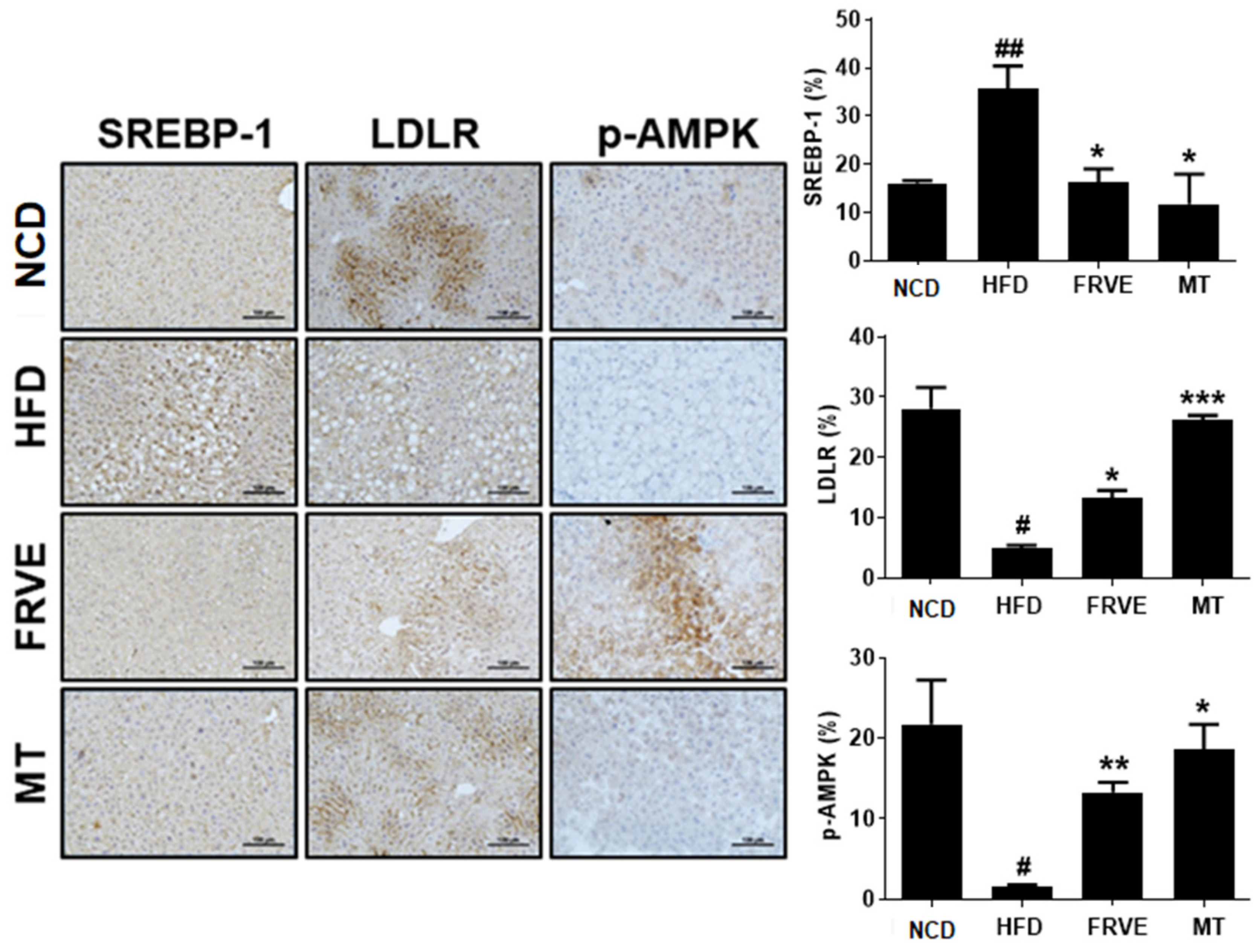 Applsci 10 06833 g006 Applsci 10 06833 g006