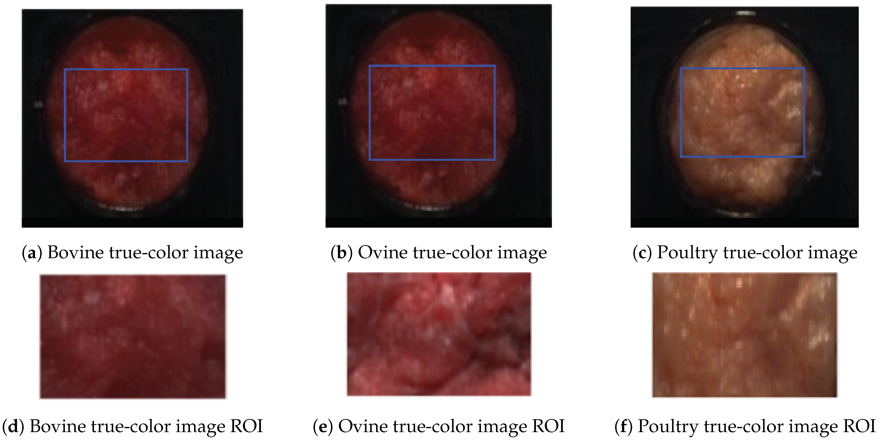 Applsci 10 06862 g002 Applsci 10 06862 g002