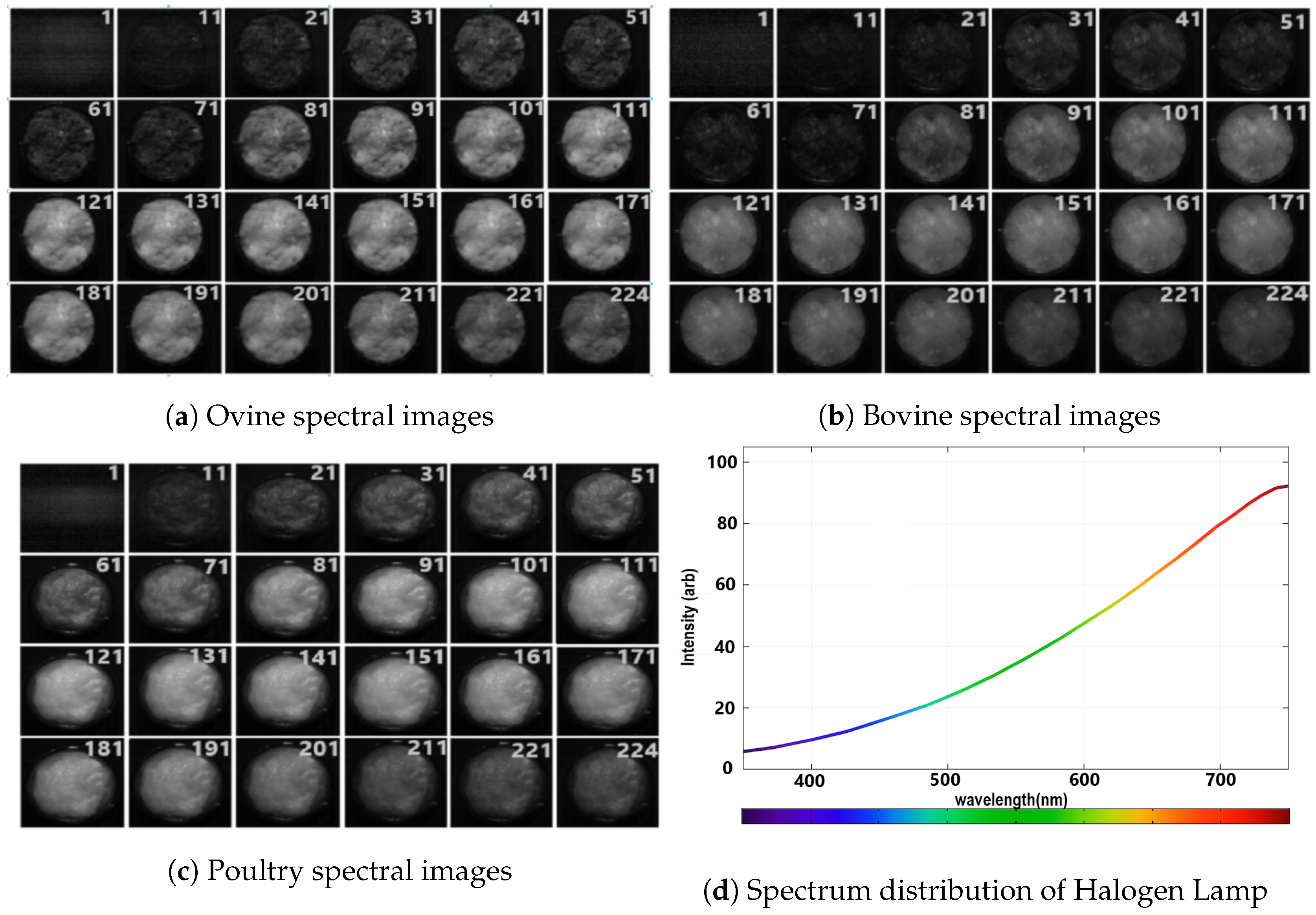 Applsci 10 06862 g005 Applsci 10 06862 g005