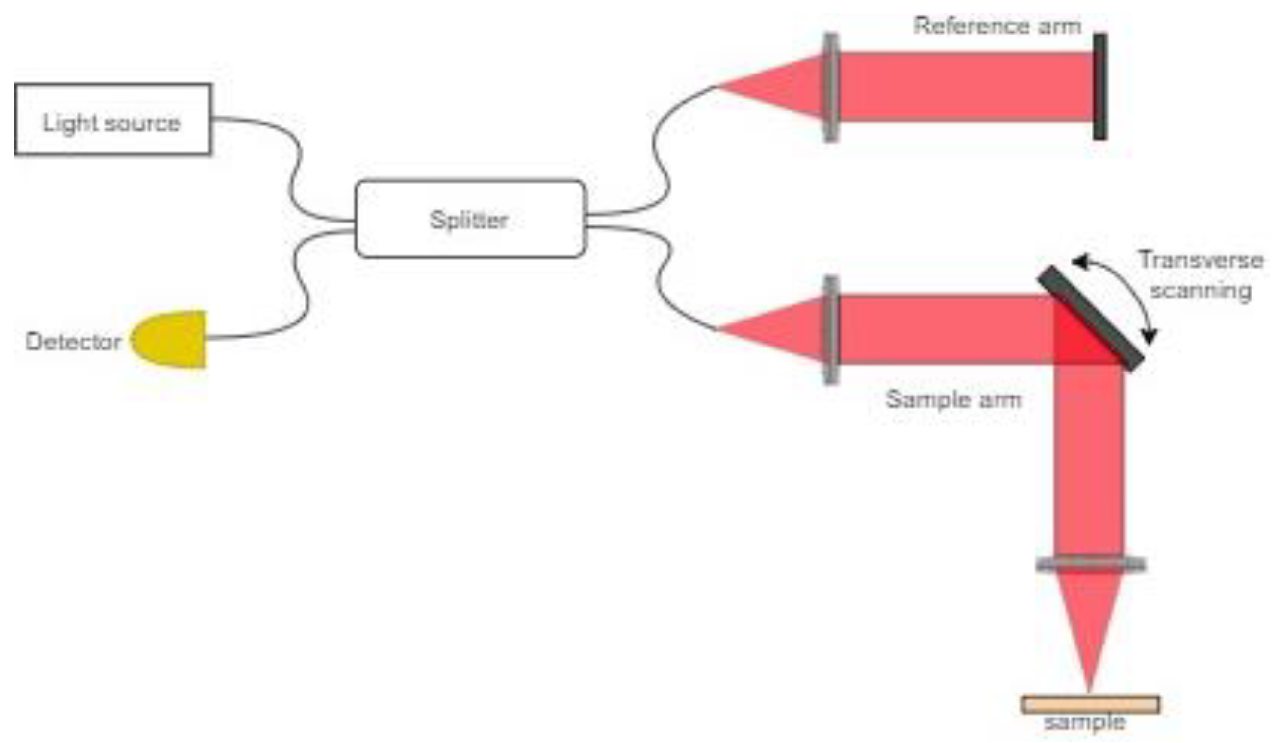 Applied Sciences Free FullText Endoscopic Optical Imaging