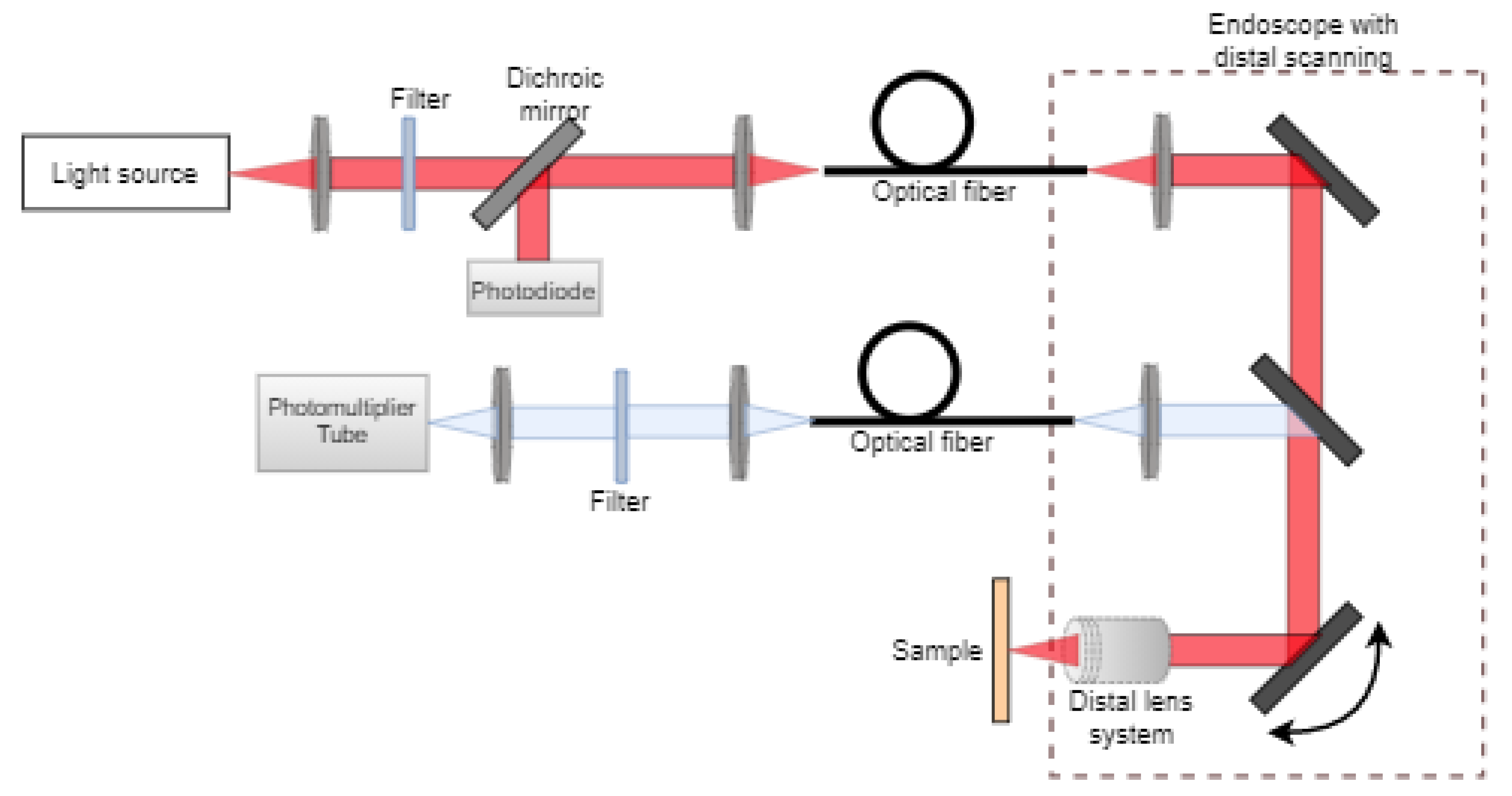 Applied Sciences Free FullText Endoscopic Optical Imaging