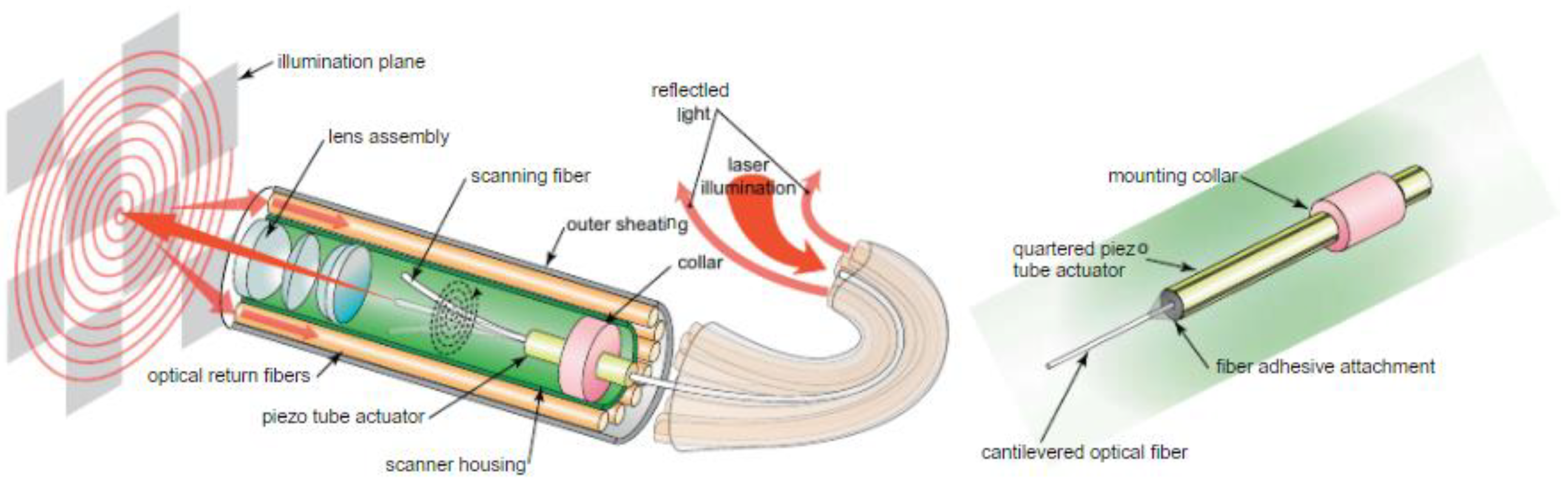 Applied Sciences Free FullText Endoscopic Optical Imaging