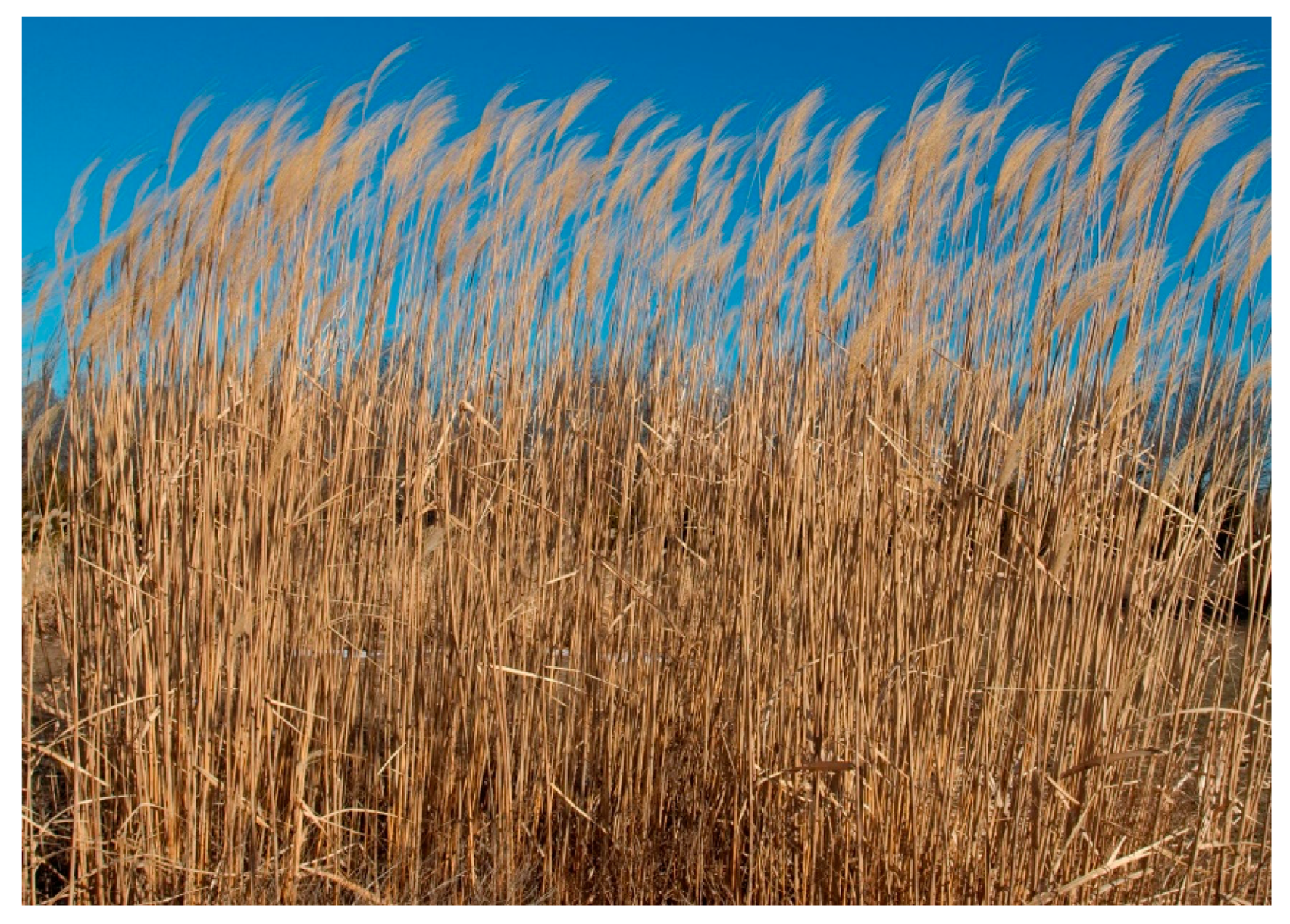 Applsci 10 06881 g002 Applsci 10 06881 g002