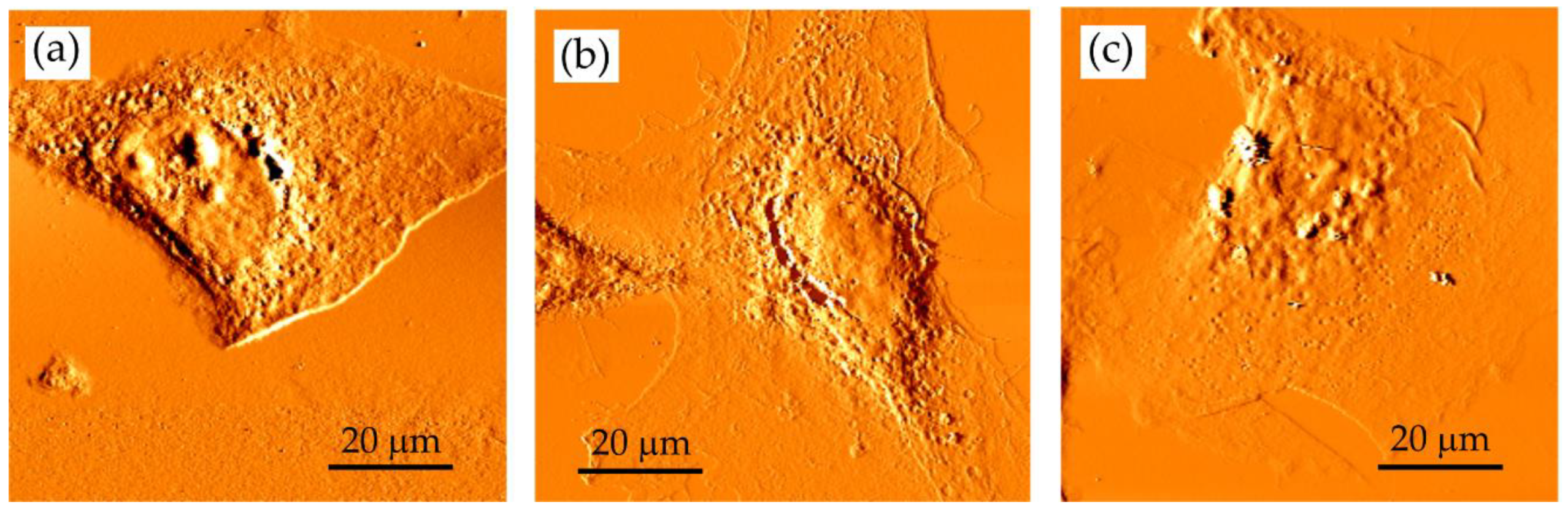 Applsci 10 06895 g004 Applsci 10 06895 g004