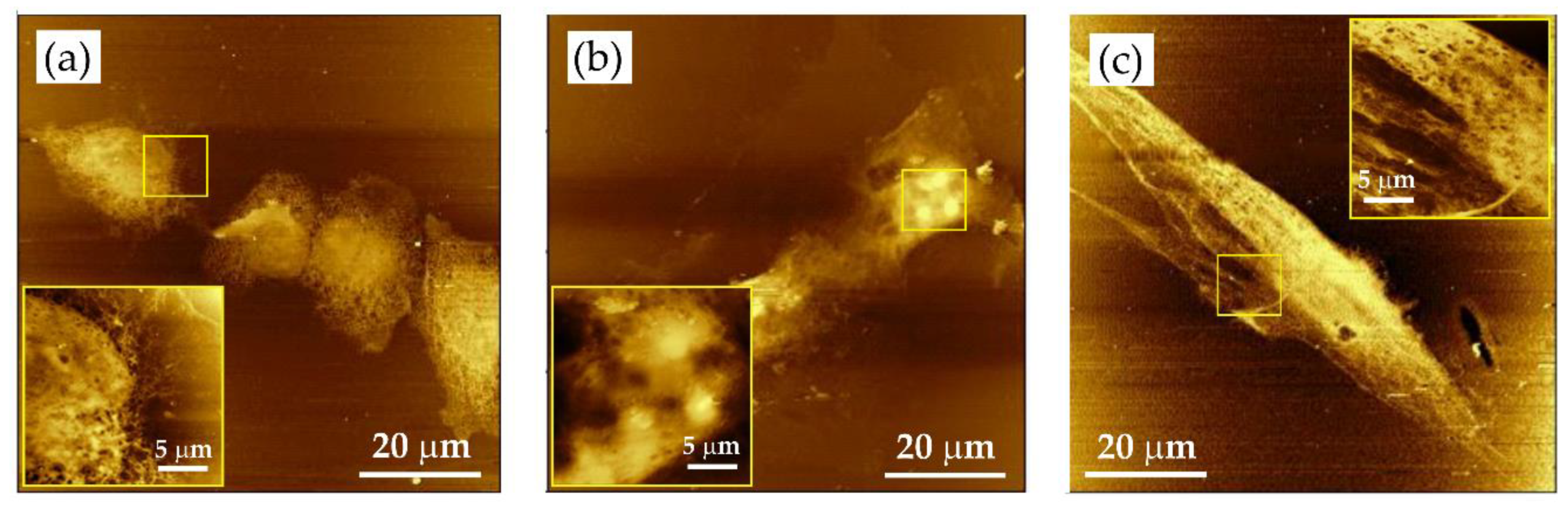 Applsci 10 06895 g008 Applsci 10 06895 g008