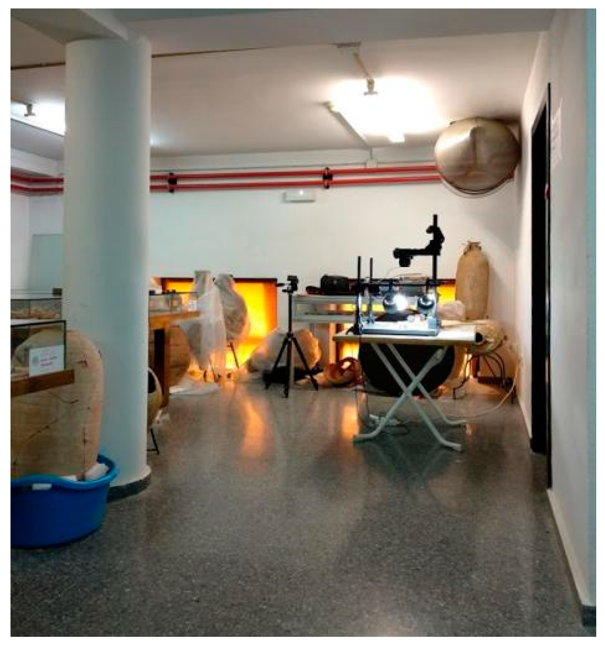 Applsci 10 06908 g002