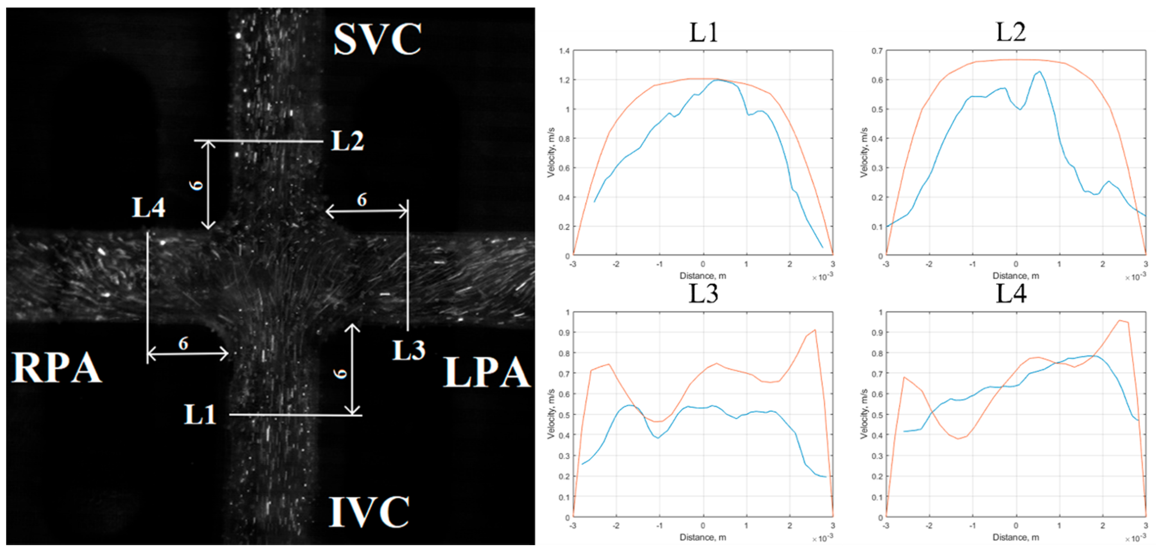 Applsci 10 06910 g010 Applsci 10 06910 g010