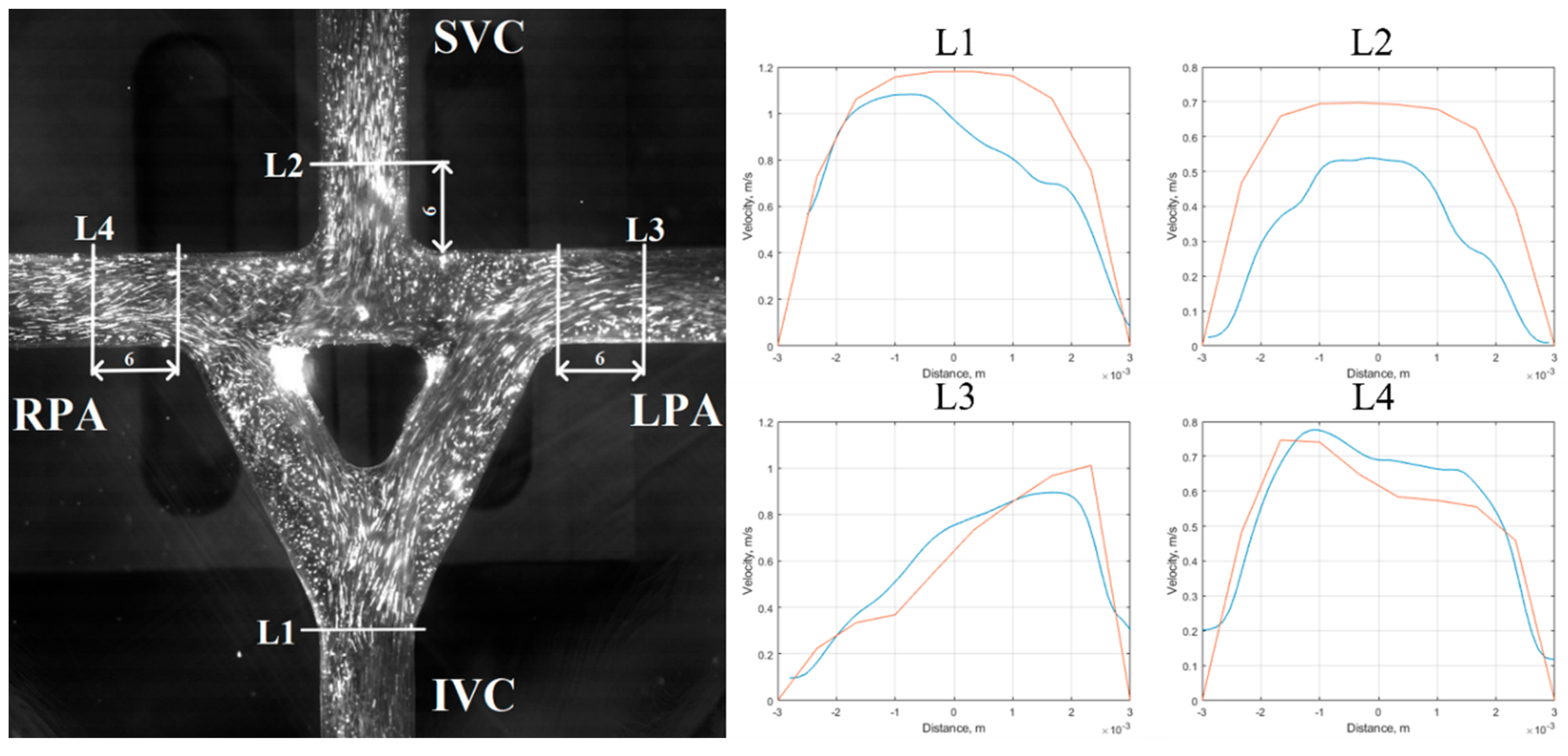 Applsci 10 06910 g012 Applsci 10 06910 g012