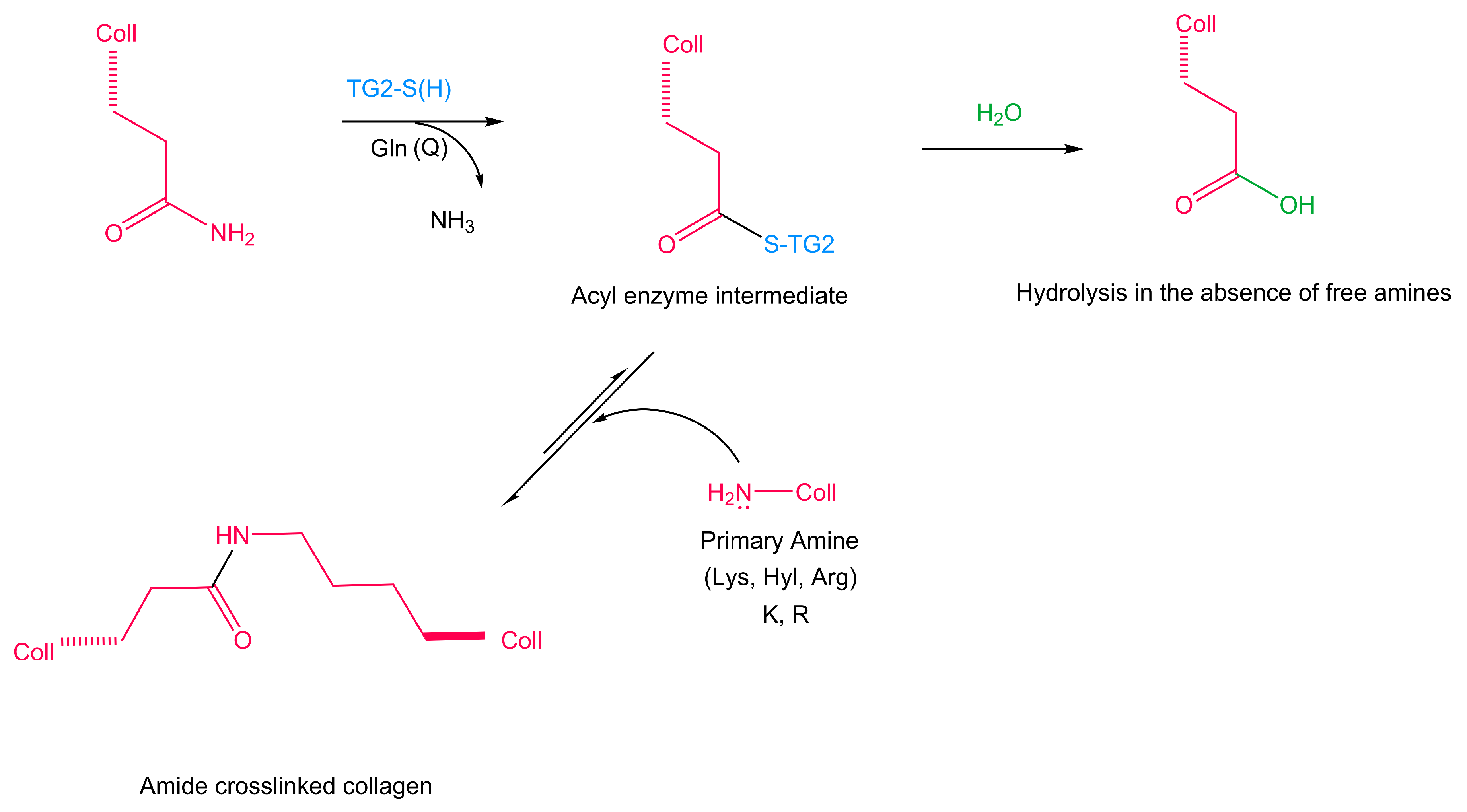 Applsci 10 06911 g006 Applsci 10 06911 g006