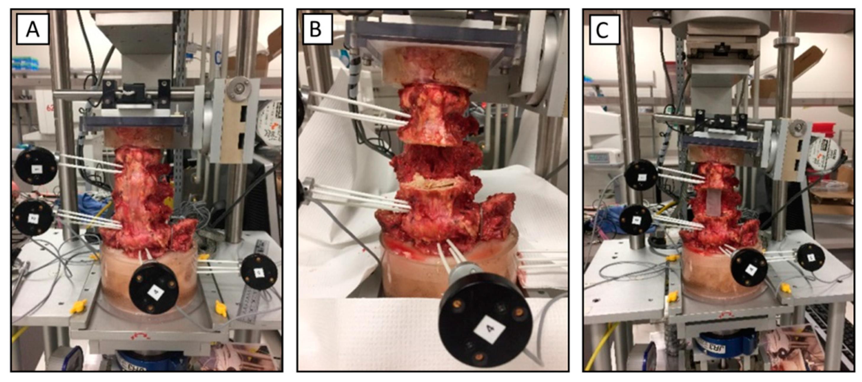 Applsci 10 06912 g002