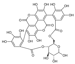 Applsci 10 06915 i013