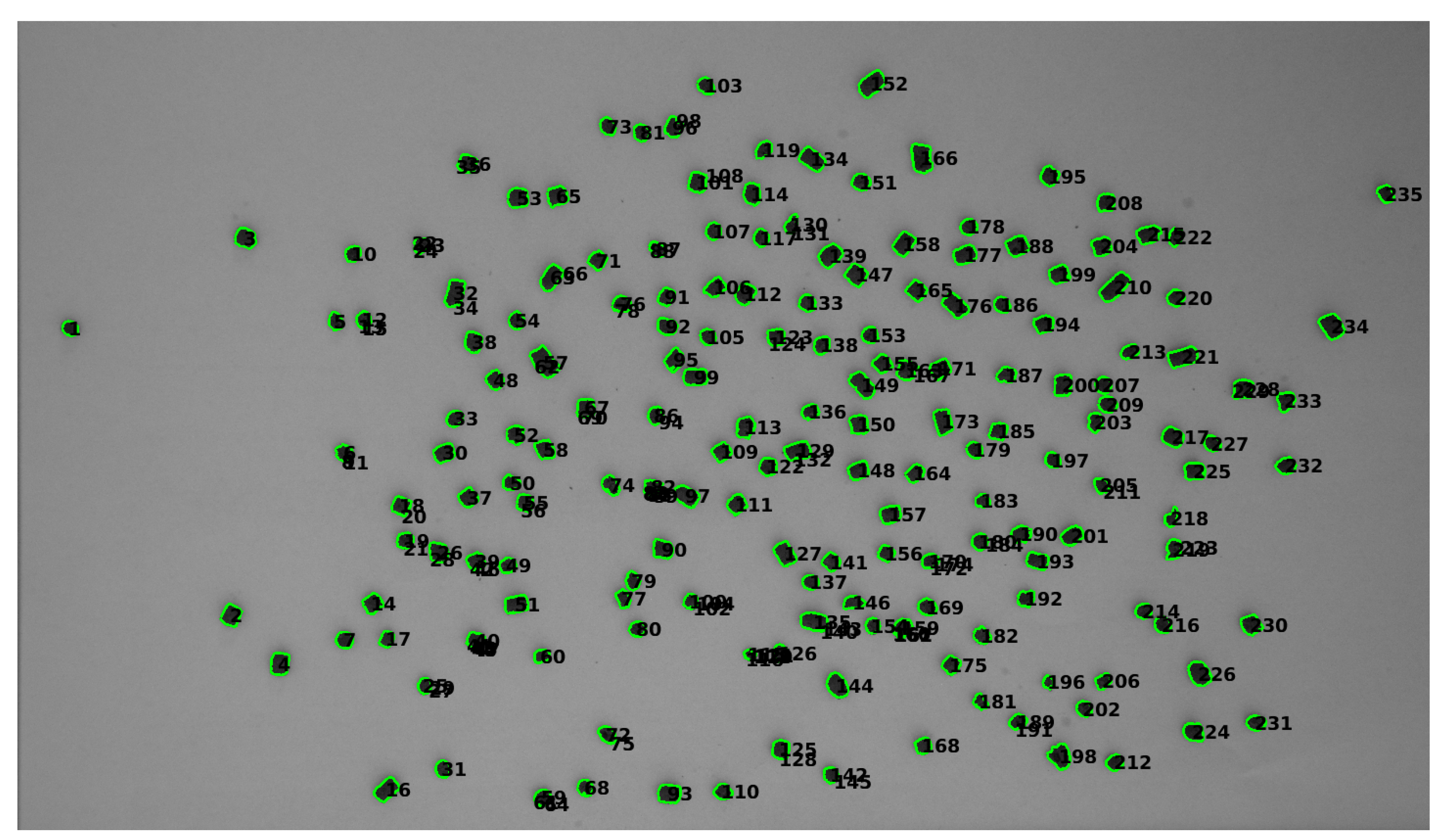 Applsci 10 06954 g002