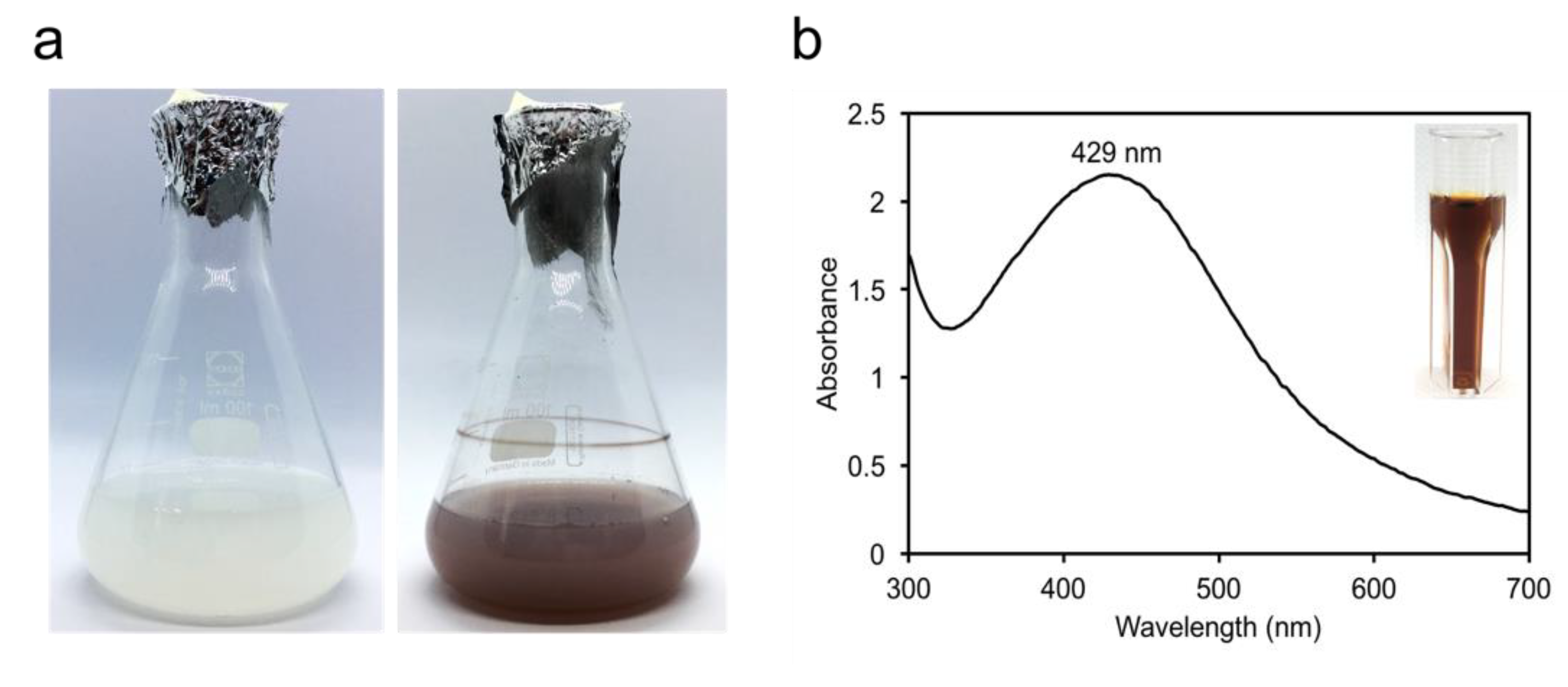 Applsci 10 06973 g003 Applsci 10 06973 g003