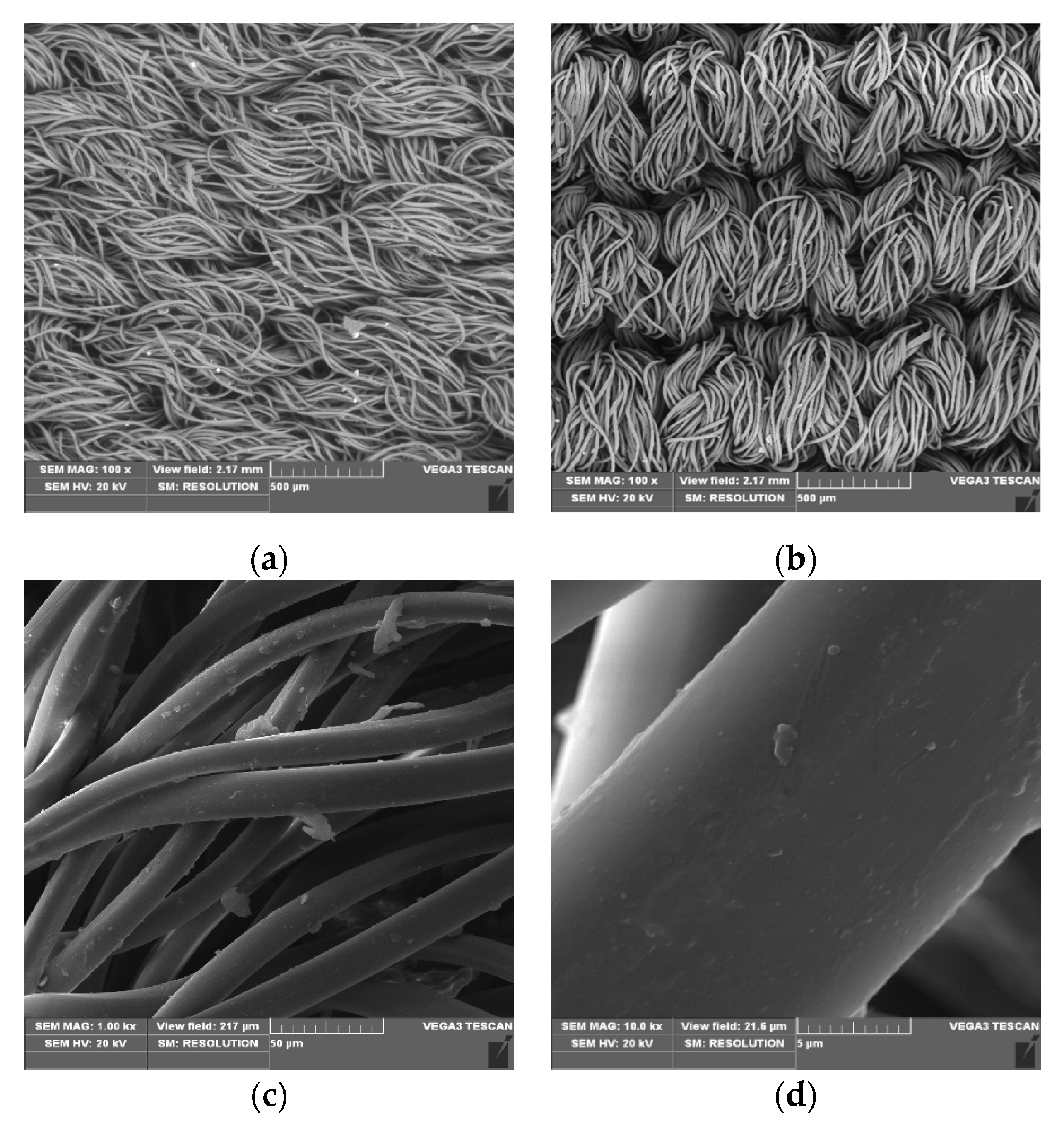 Applsci 10 06990 g004