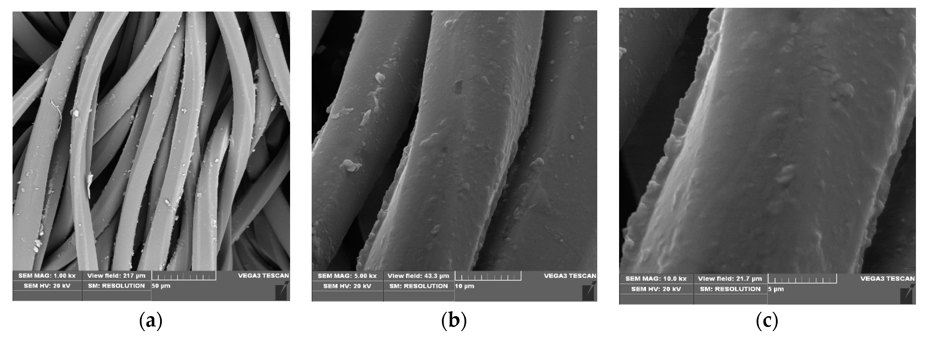 Applsci 10 06990 g005