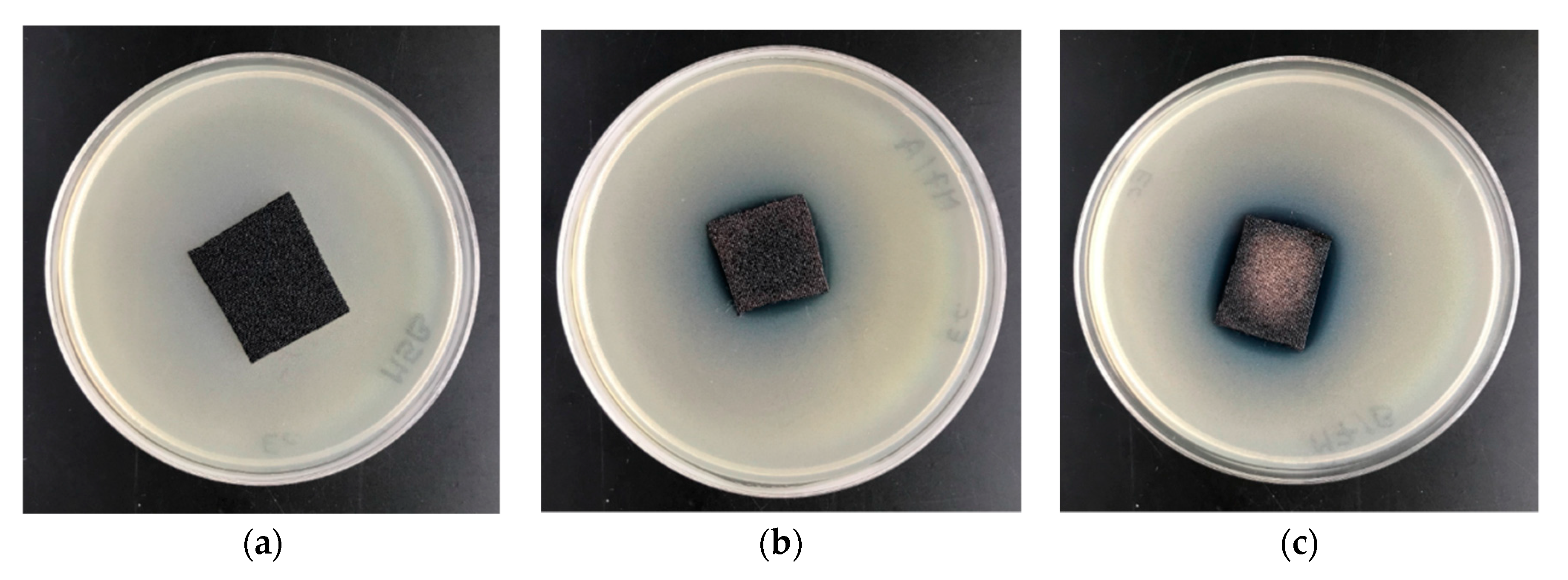 Applsci 10 06990 g008